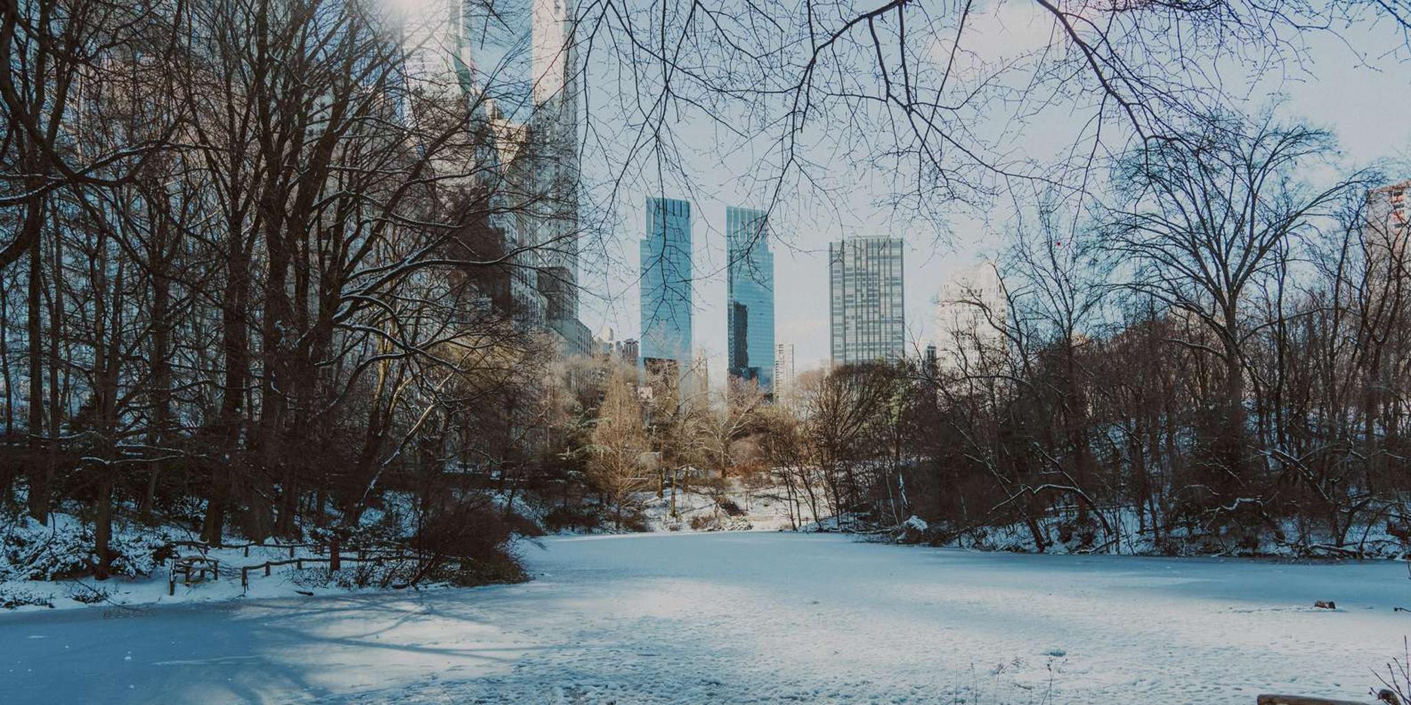 New York City Christmas Movie Locations Tour - Image 4