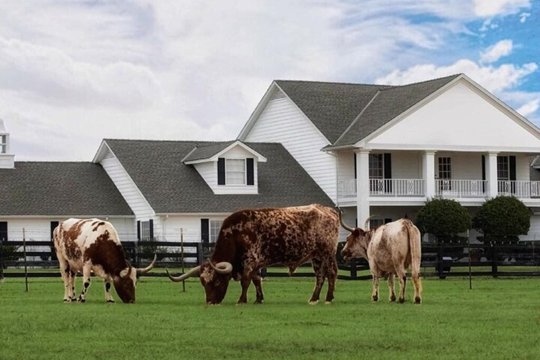 Dallas Southfork Ranch Limousine Tour - Image 6