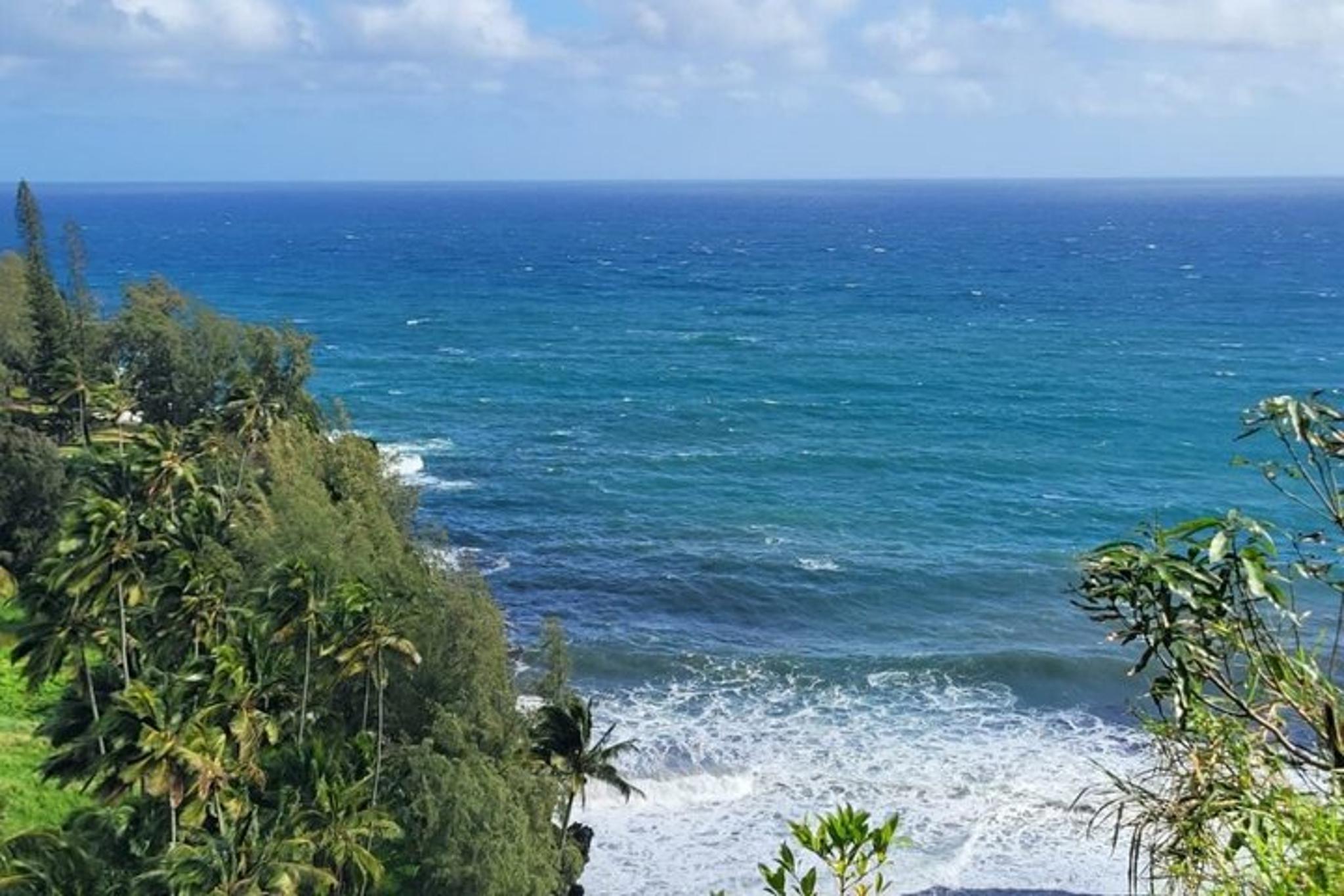 Maui Waterfall, Beach & Hana Tour