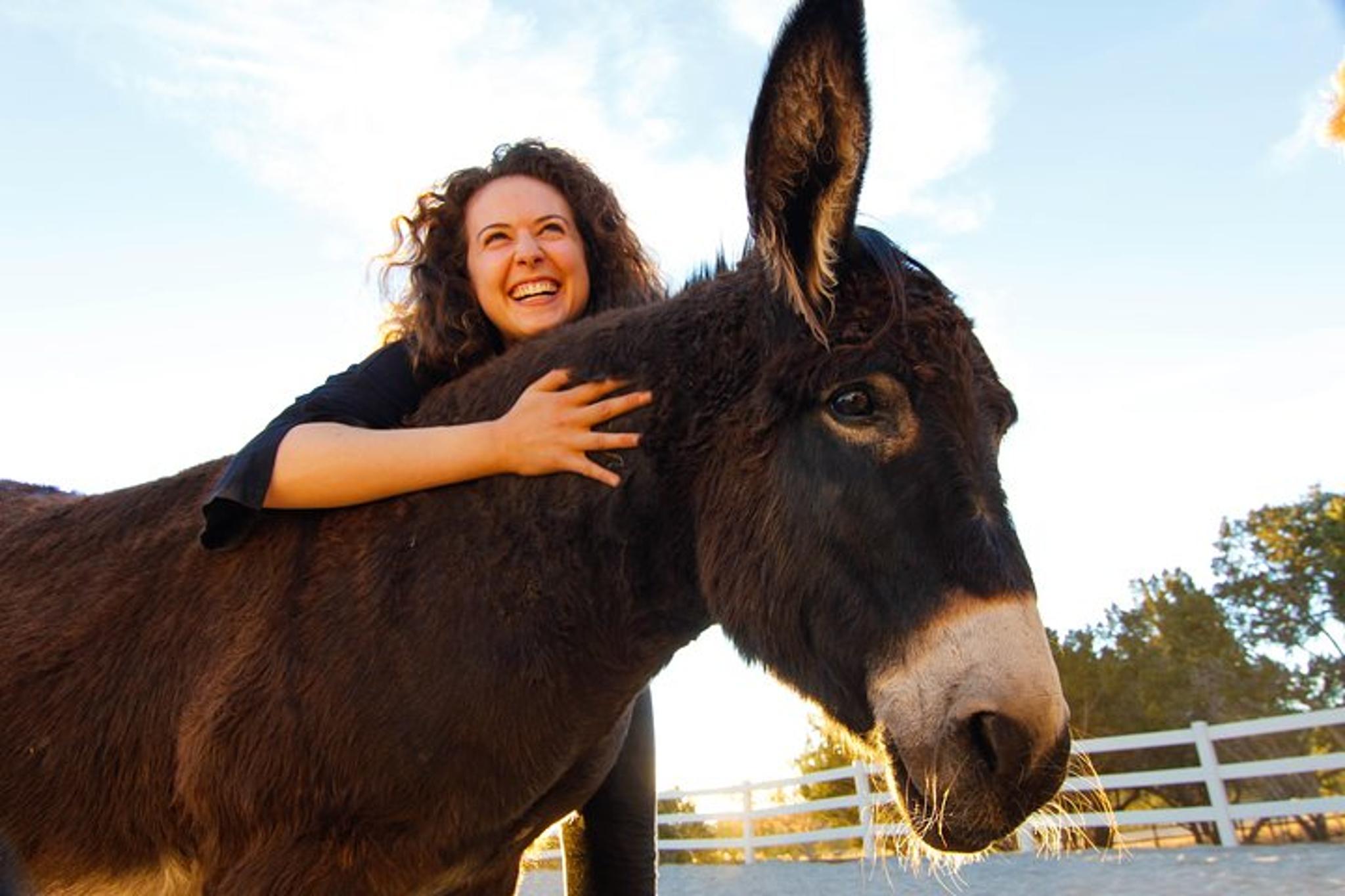 Boulder Leadership & Mindfulness Retreat with Horses - Image 4