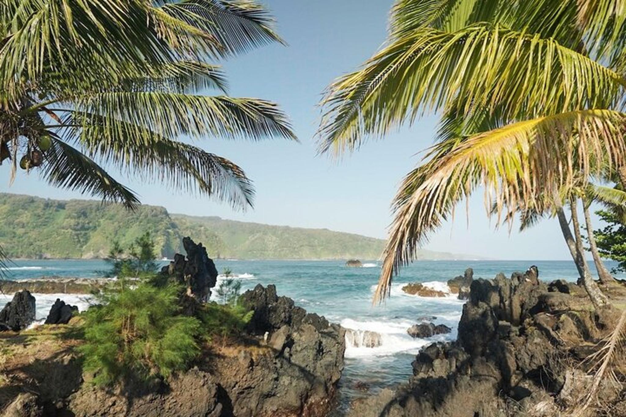 Maui Road to Hana Rainforest & Waterfall Tour - Image 6