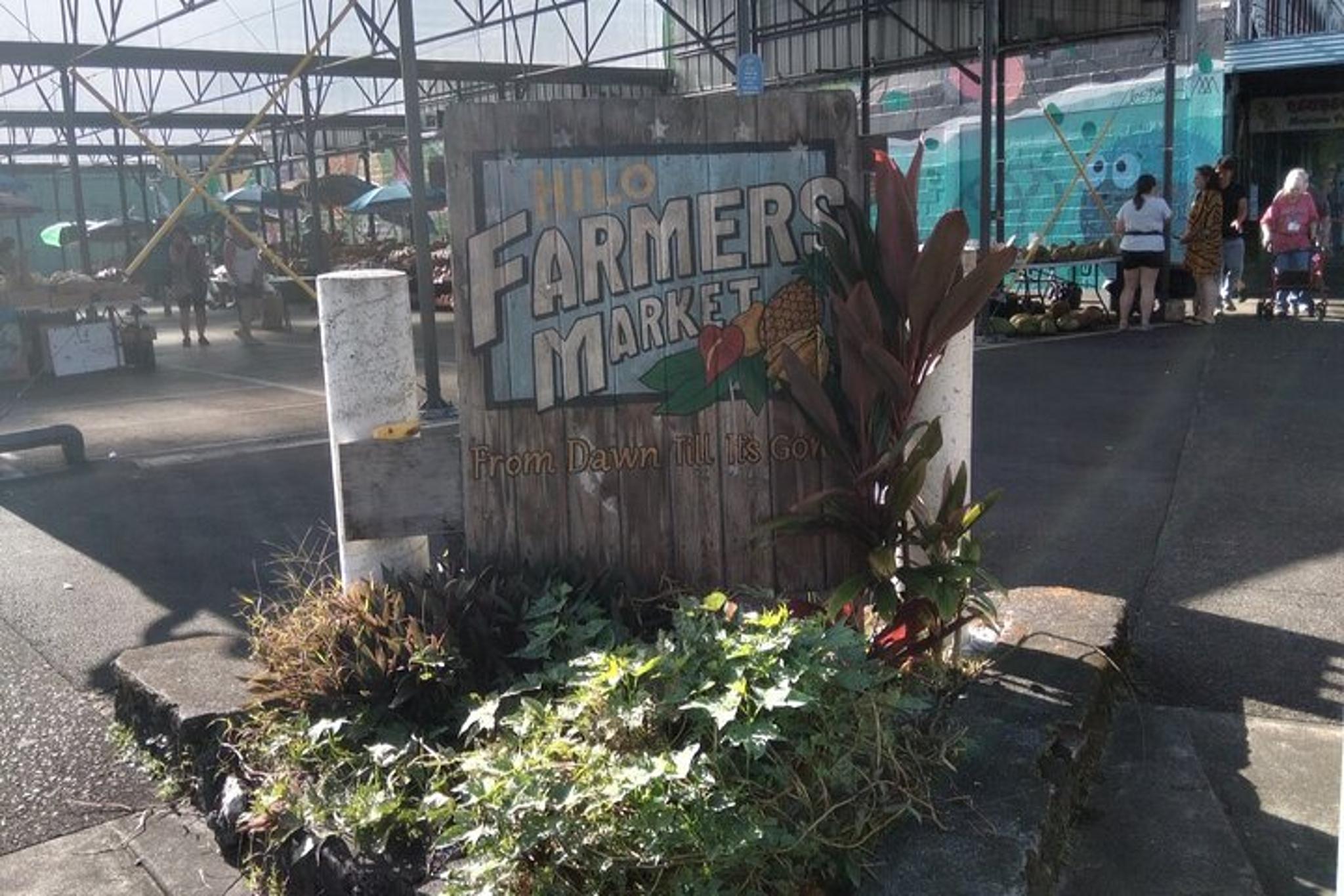 Hilo History and Legends Audio Walking Tour