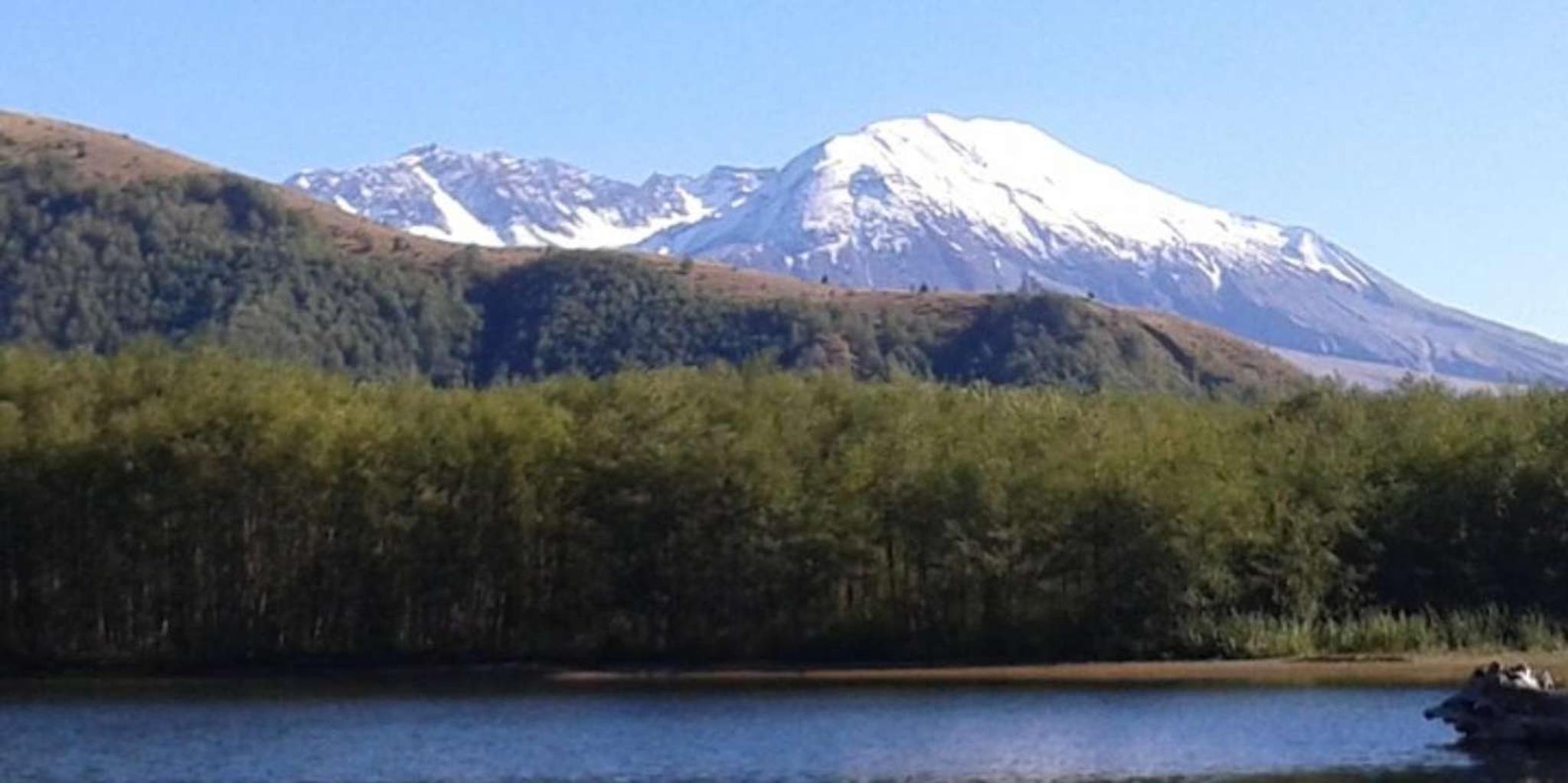 Seattle Mount St. Helens Day Trip - Image 2