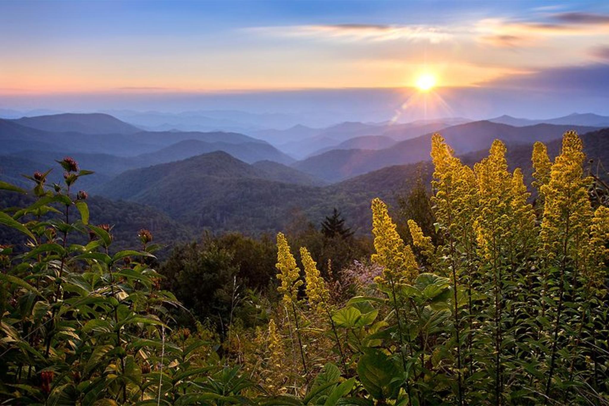 Asheville Photo Tour with Photography Lessons - Image 4