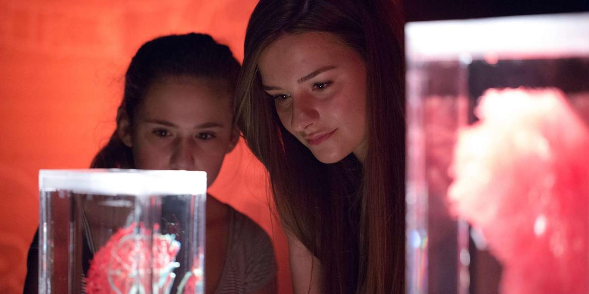 Las Vegas REAL BODIES Exhibit Entry Ticket - Image 4