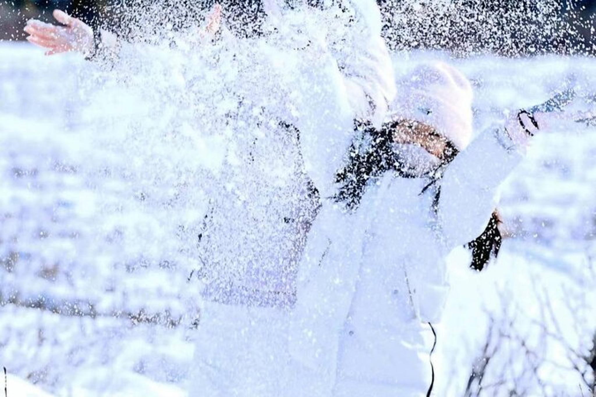 Fairbanks Denali National Park Shuttle with Photography - Image 3