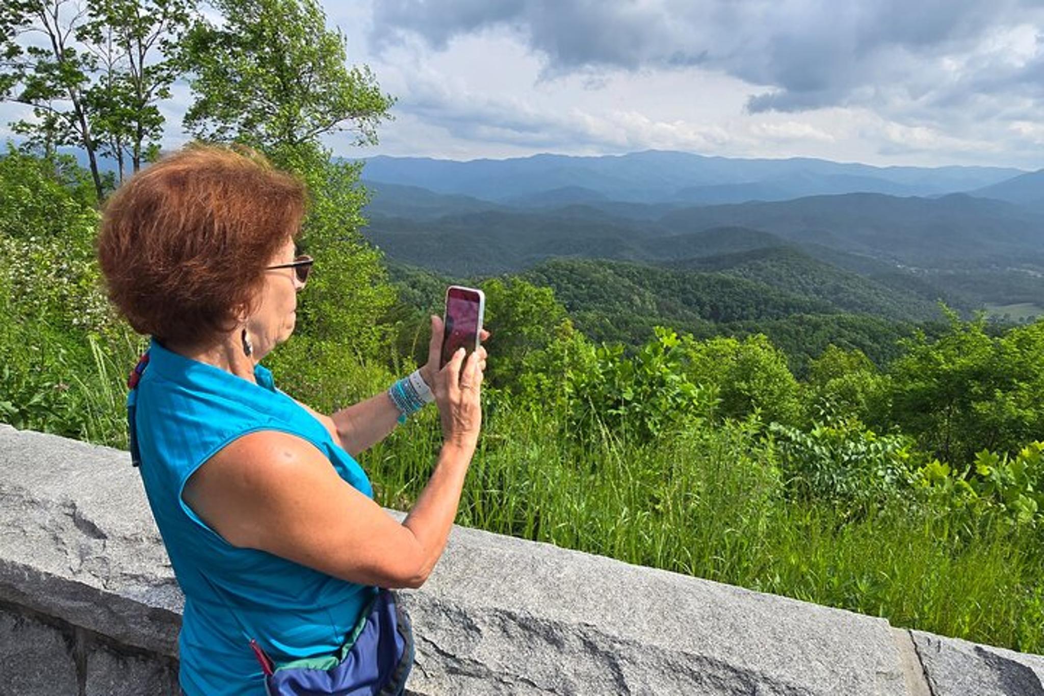 Cades Cove and Foothills Parkway Spring Tour - Image 4