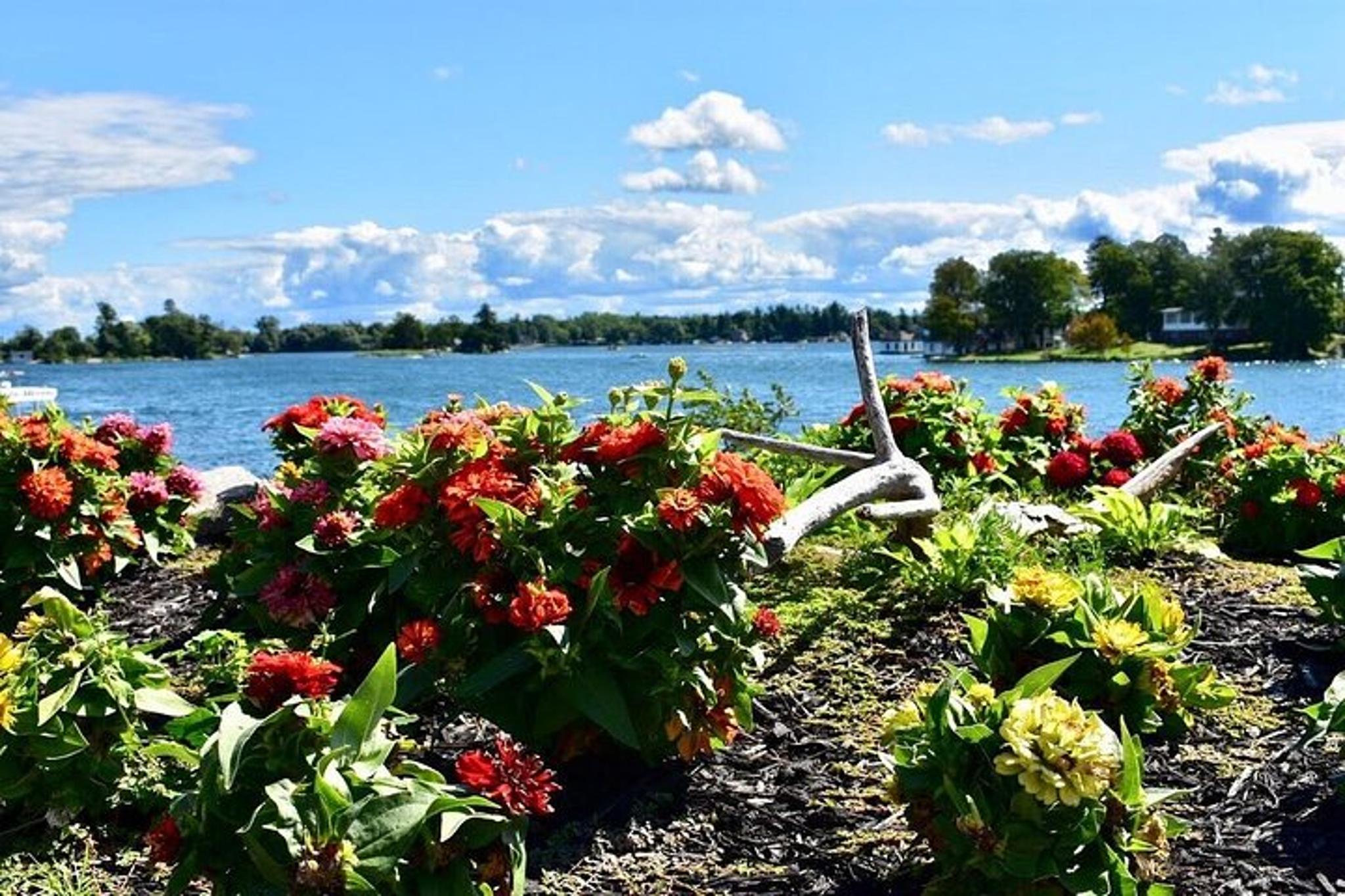 St. Lawrence River Islands and Castle Tour - Image 3