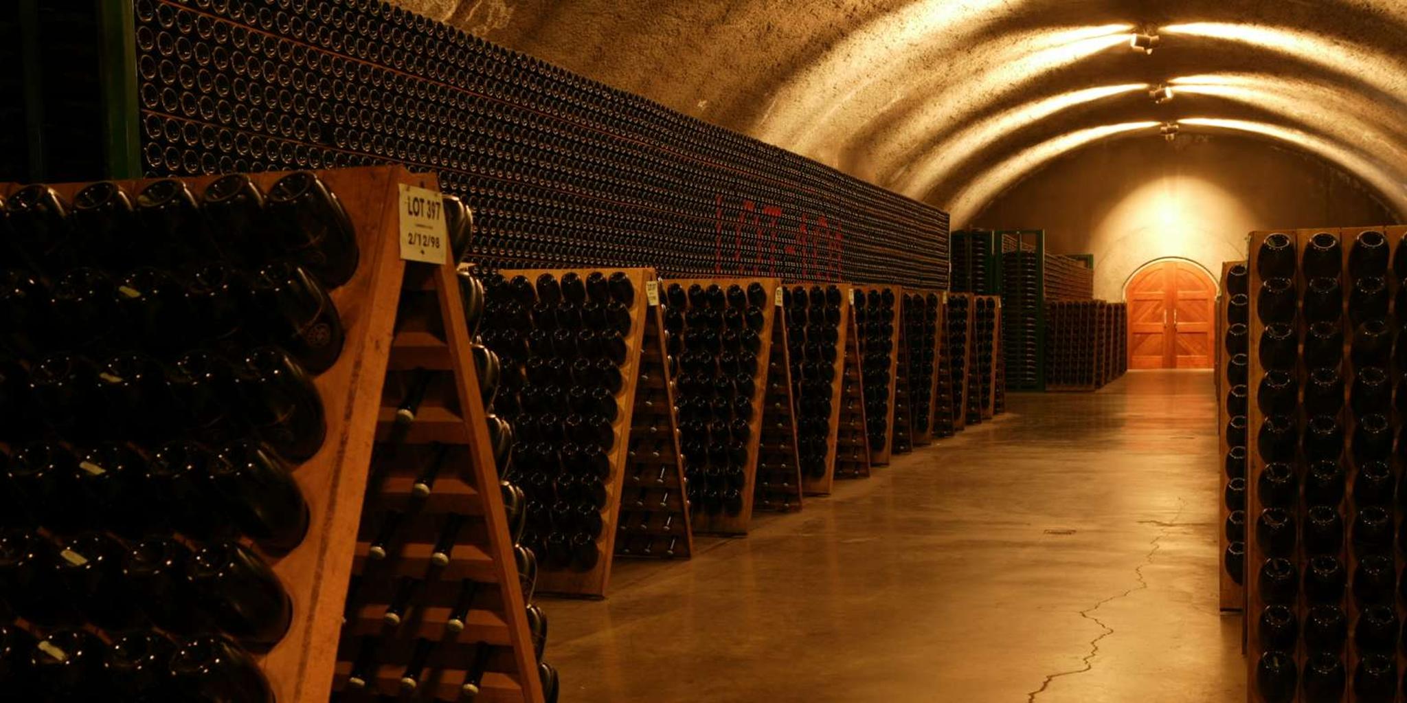 San Francisco Coastal Redwoods & Wine Tour - Image 6