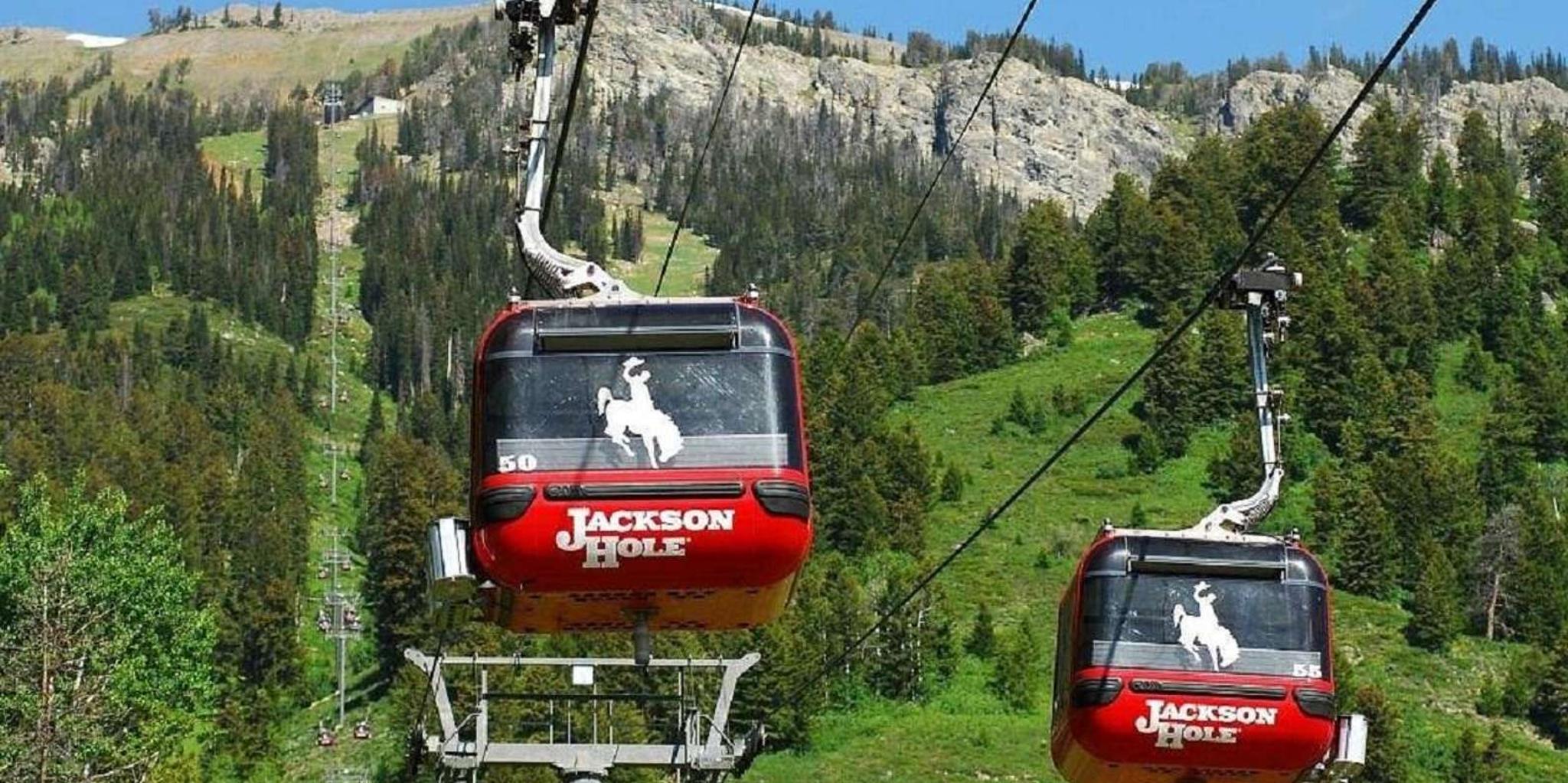 Salt Lake City Yellowstone and Grand Teton Tour - Image 4