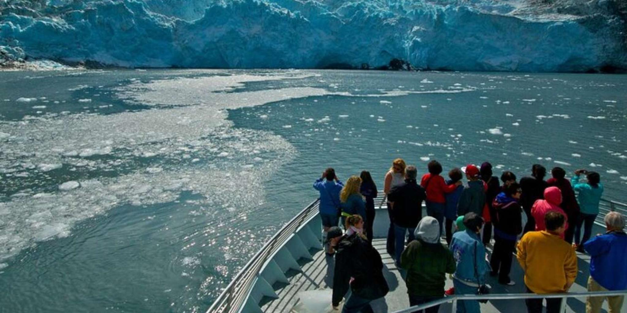 Anchorage Glacier Quest Cruise with Lunch 11 hr - Image 5