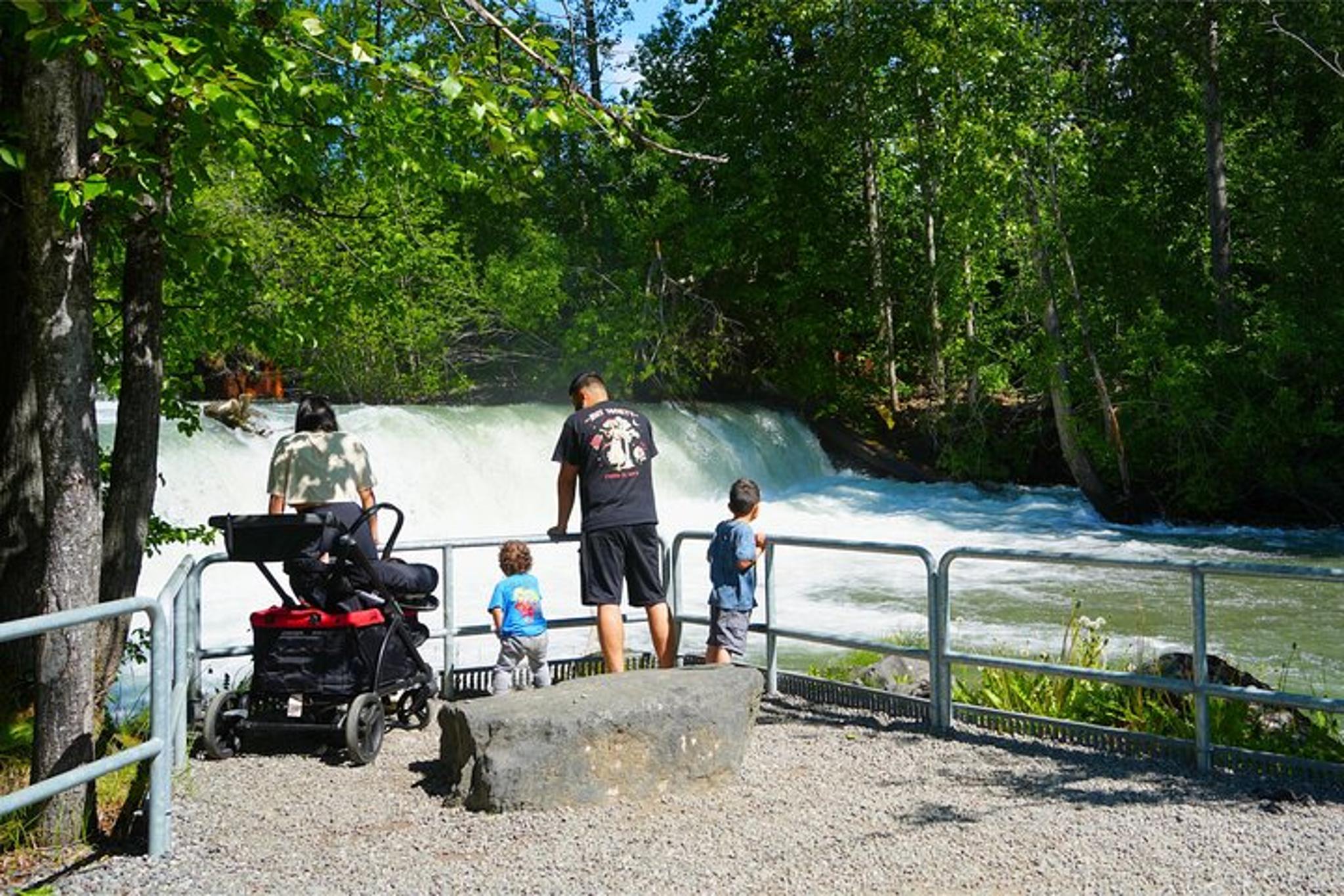 Anchorage Salmon Adventure Hatchery and Ship Creek - Image 3