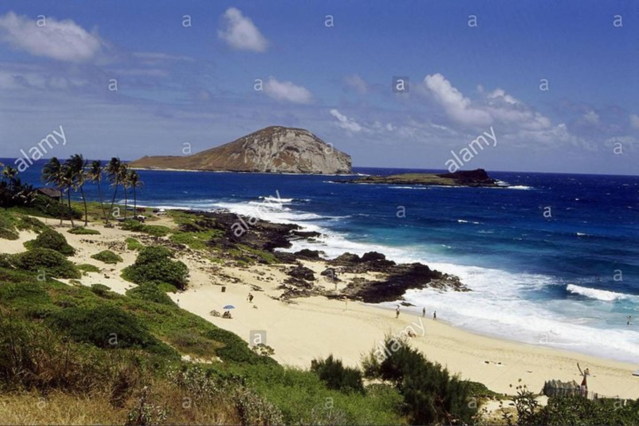 Oahu Circle Island Tour - Image 6