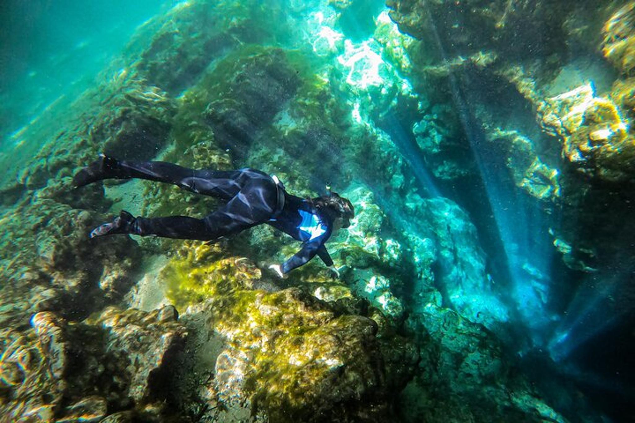 Florida Springs Snorkeling Expedition - Image 6