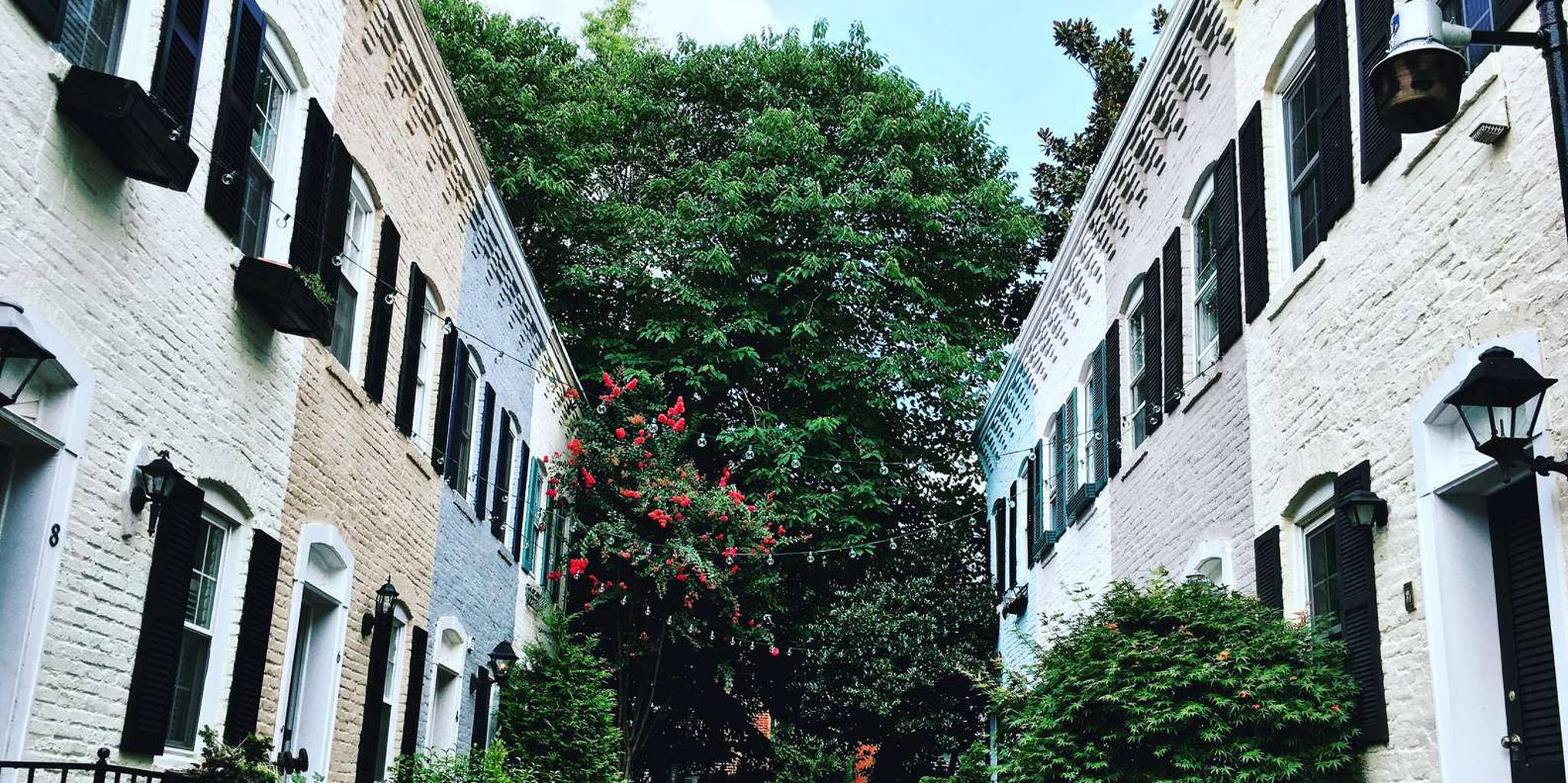 Georgetown Architectural Walking Tour - Image 2