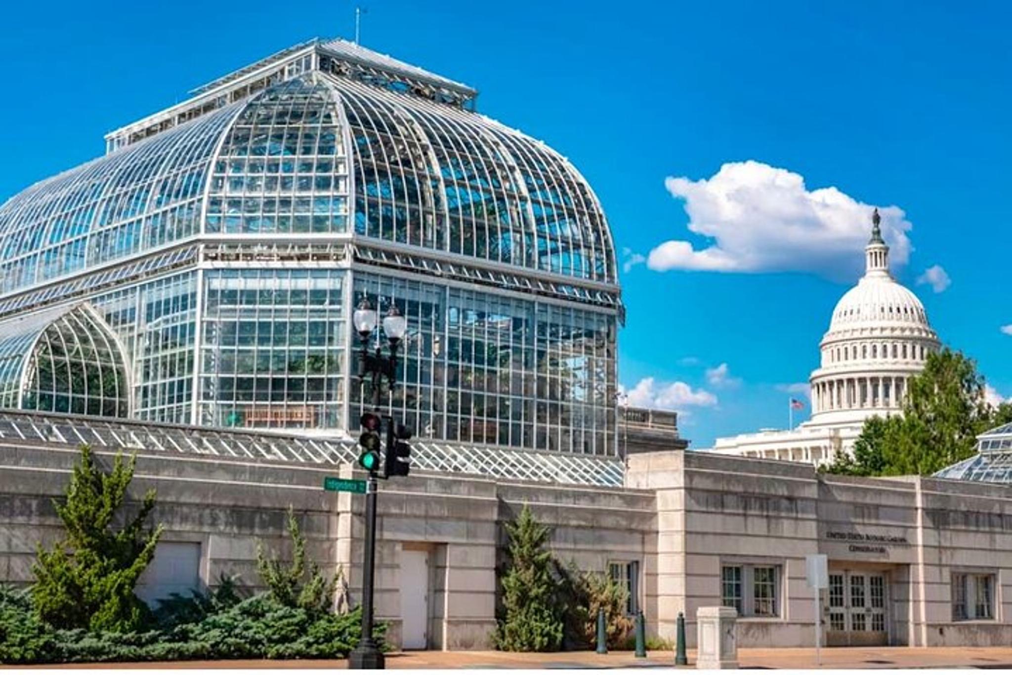 Washington D.C. Smithsonian Museums Private Transportation - Image 2