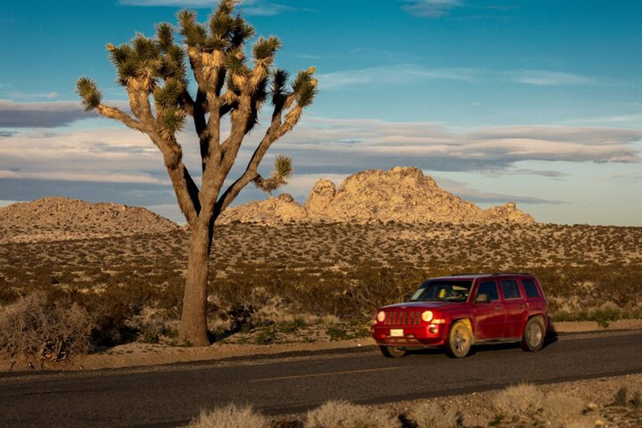 Joshua Tree Hidden Valley Trail Audio Tour - Image 3