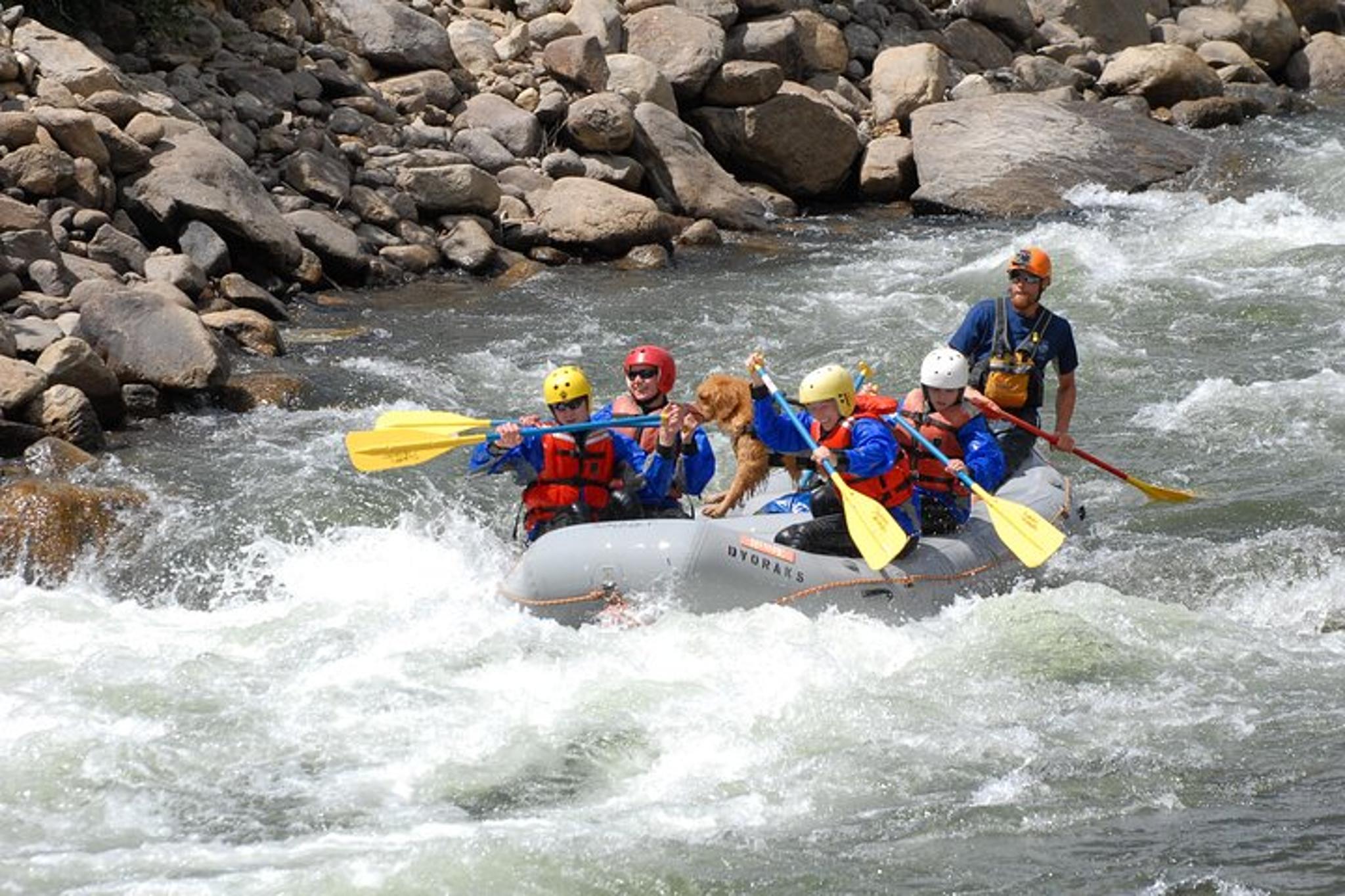 Arkansas River Bighorn Sheep Canyon Rafting - Image 3