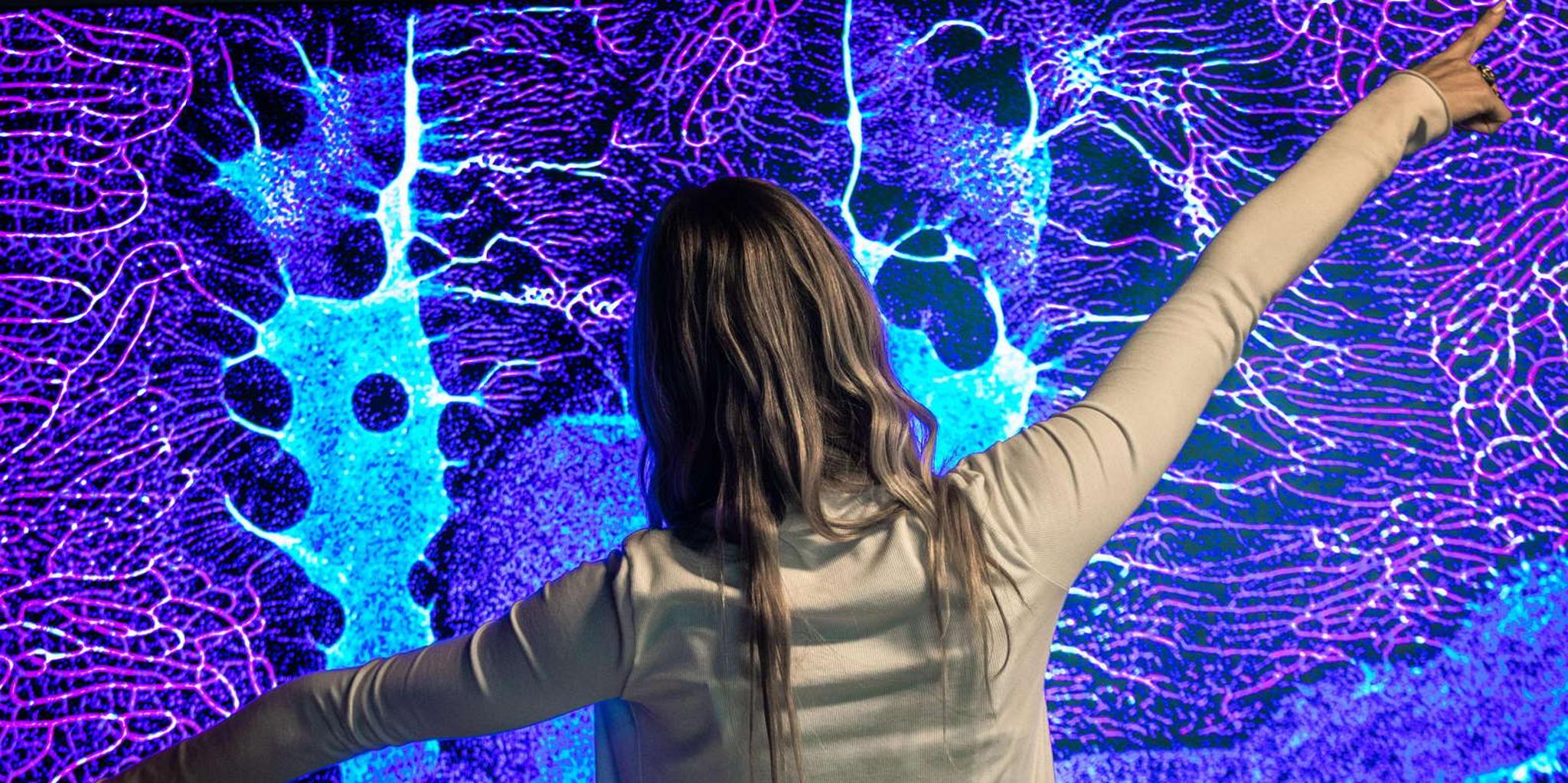 San Diego WNDR Museum Entry Ticket 1 hr - Image 6