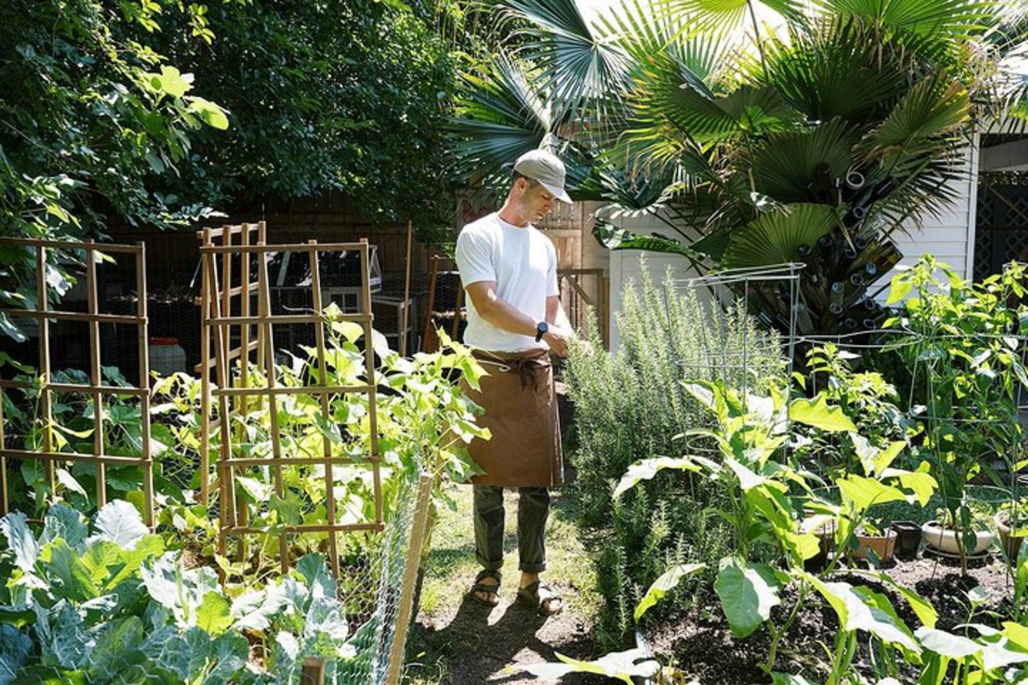 New Orleans Cajun Cooking Class with Courtland - Image 6