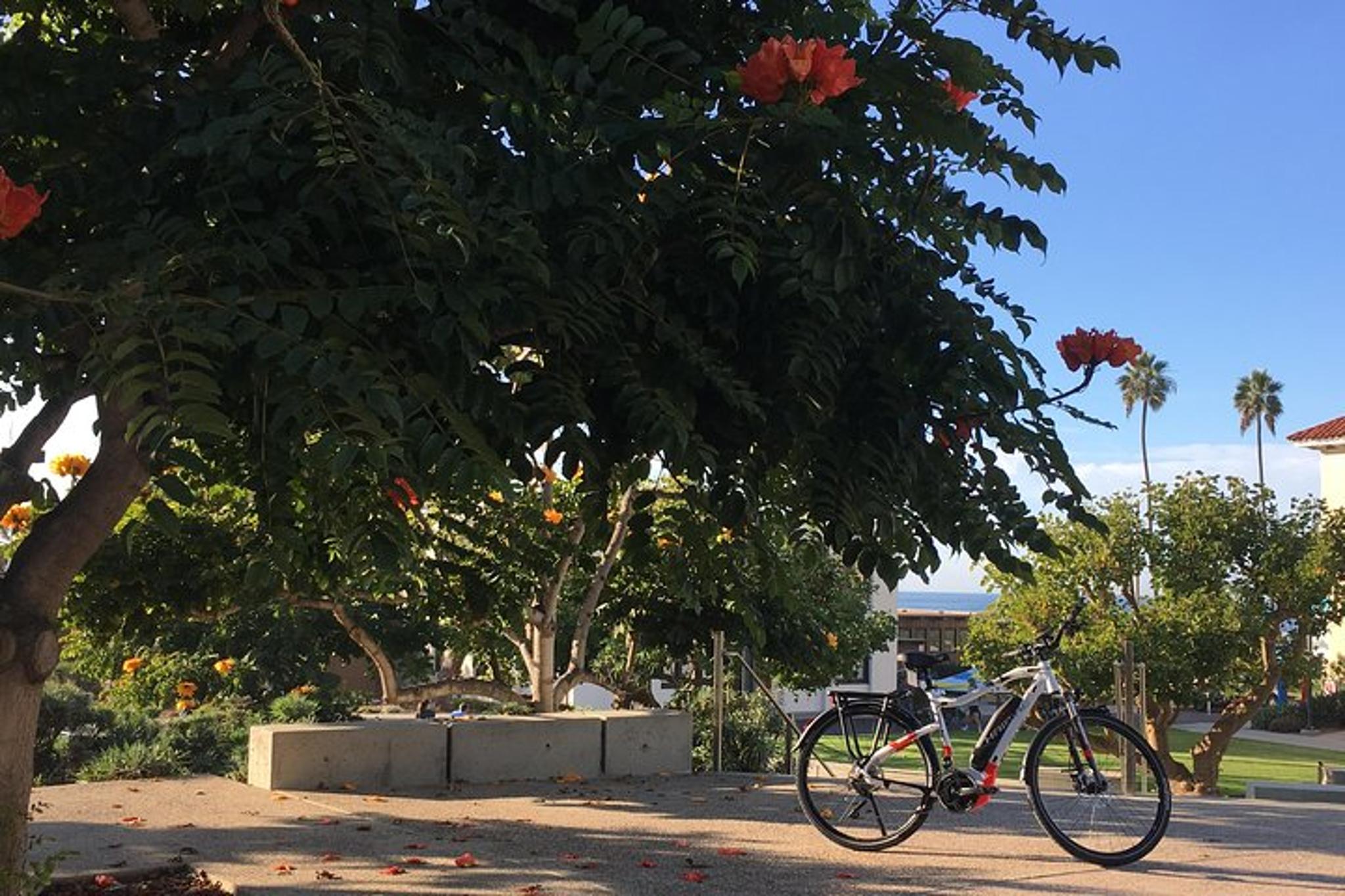 San Diego Performance eBike Rental Full Day - Image 3