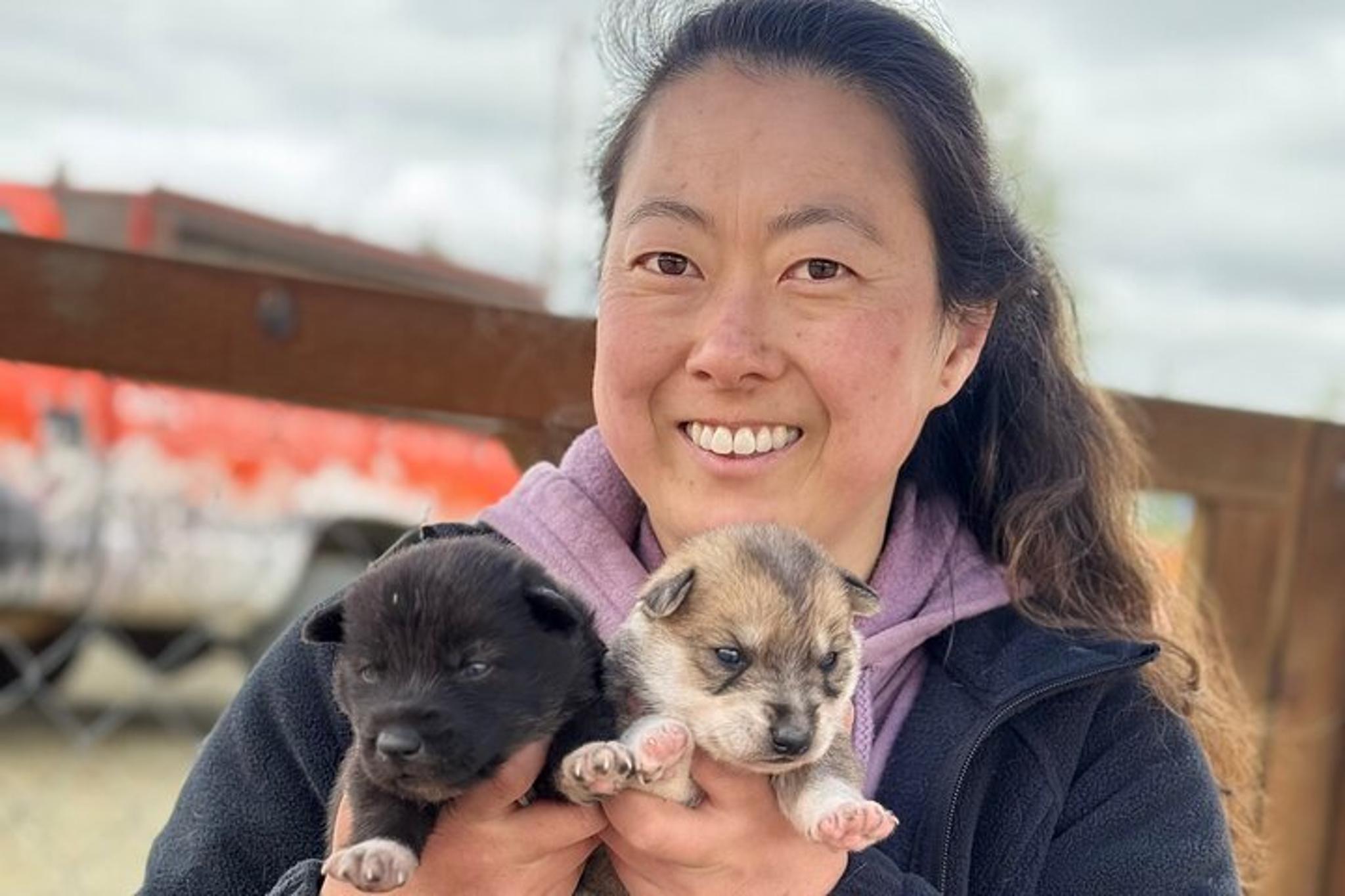 Anchorage Dog Sledding Experience - Image 2