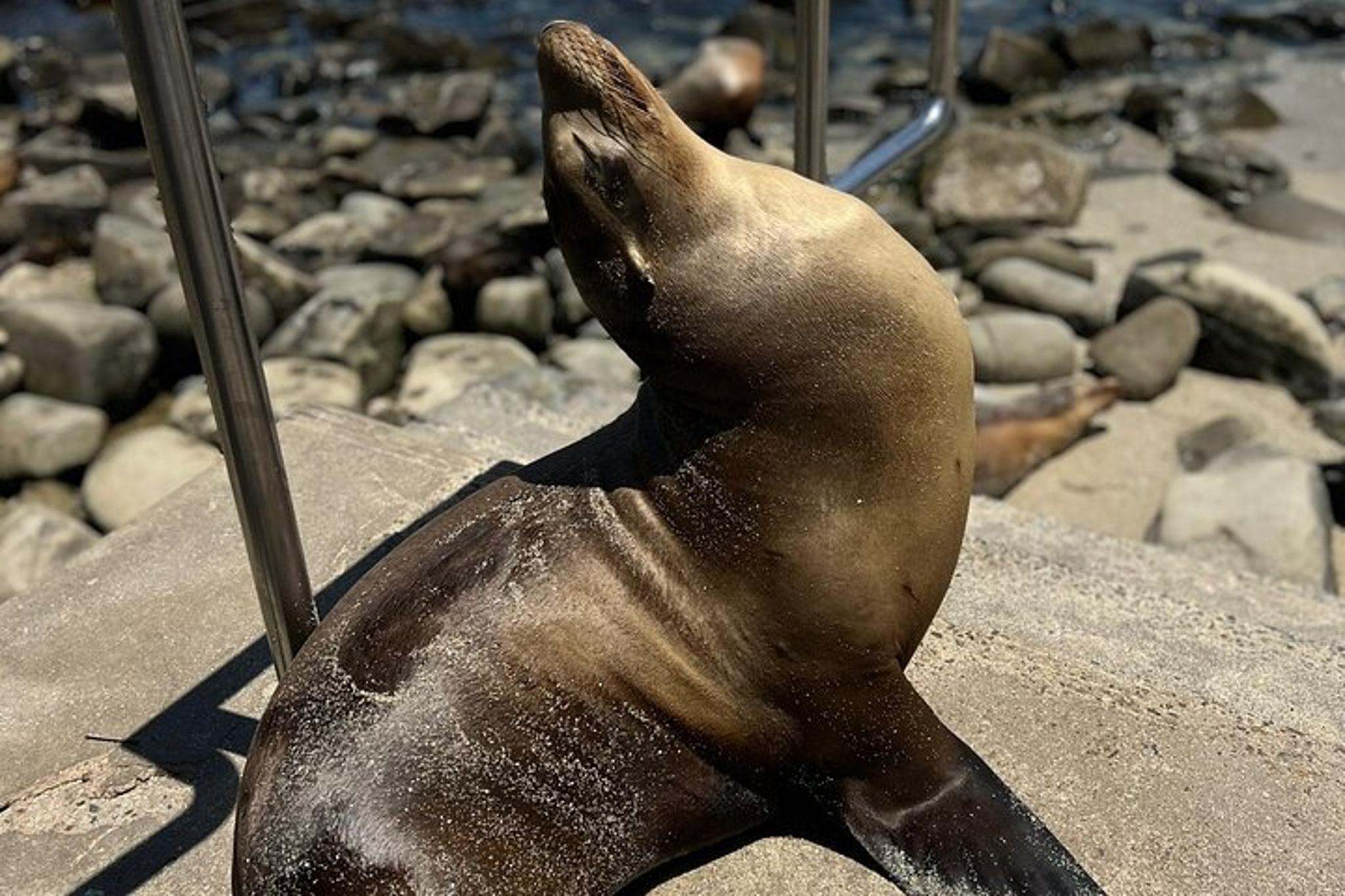 La Jolla Village Walking Tour - Image 5