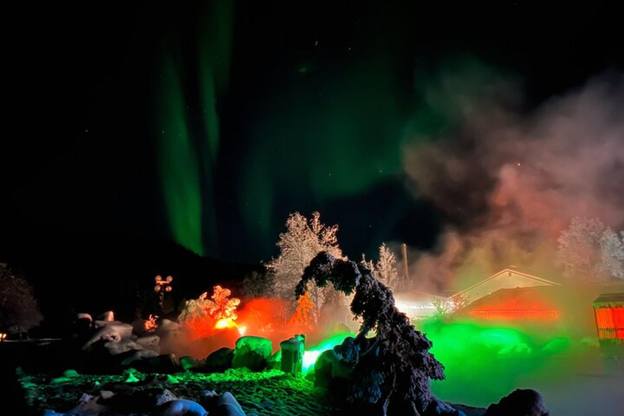 Fairbanks Northern Lights Tour at Chena Hot Springs - Image 3