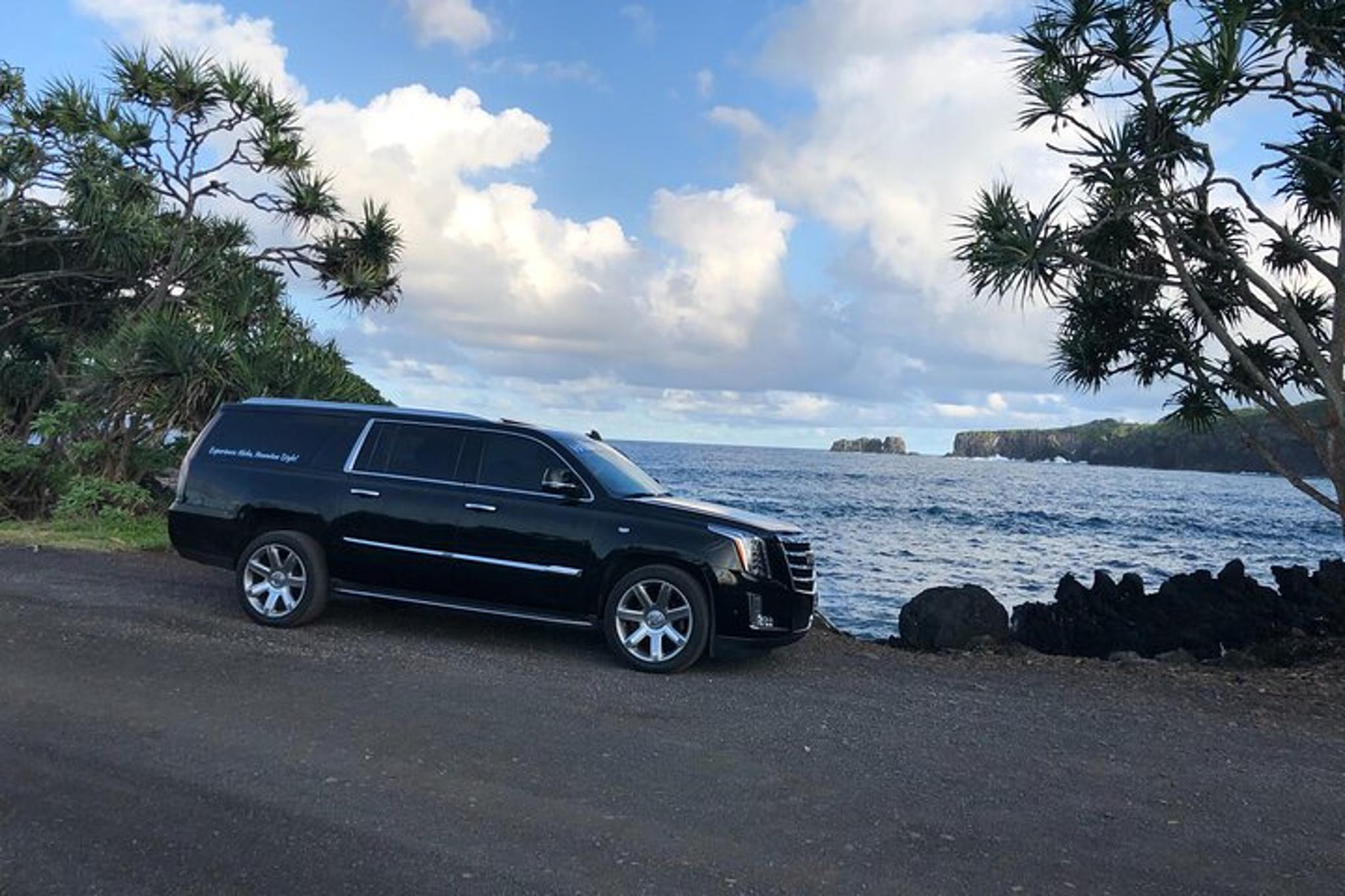 Maui Road to Hana Private Tour - Image 5