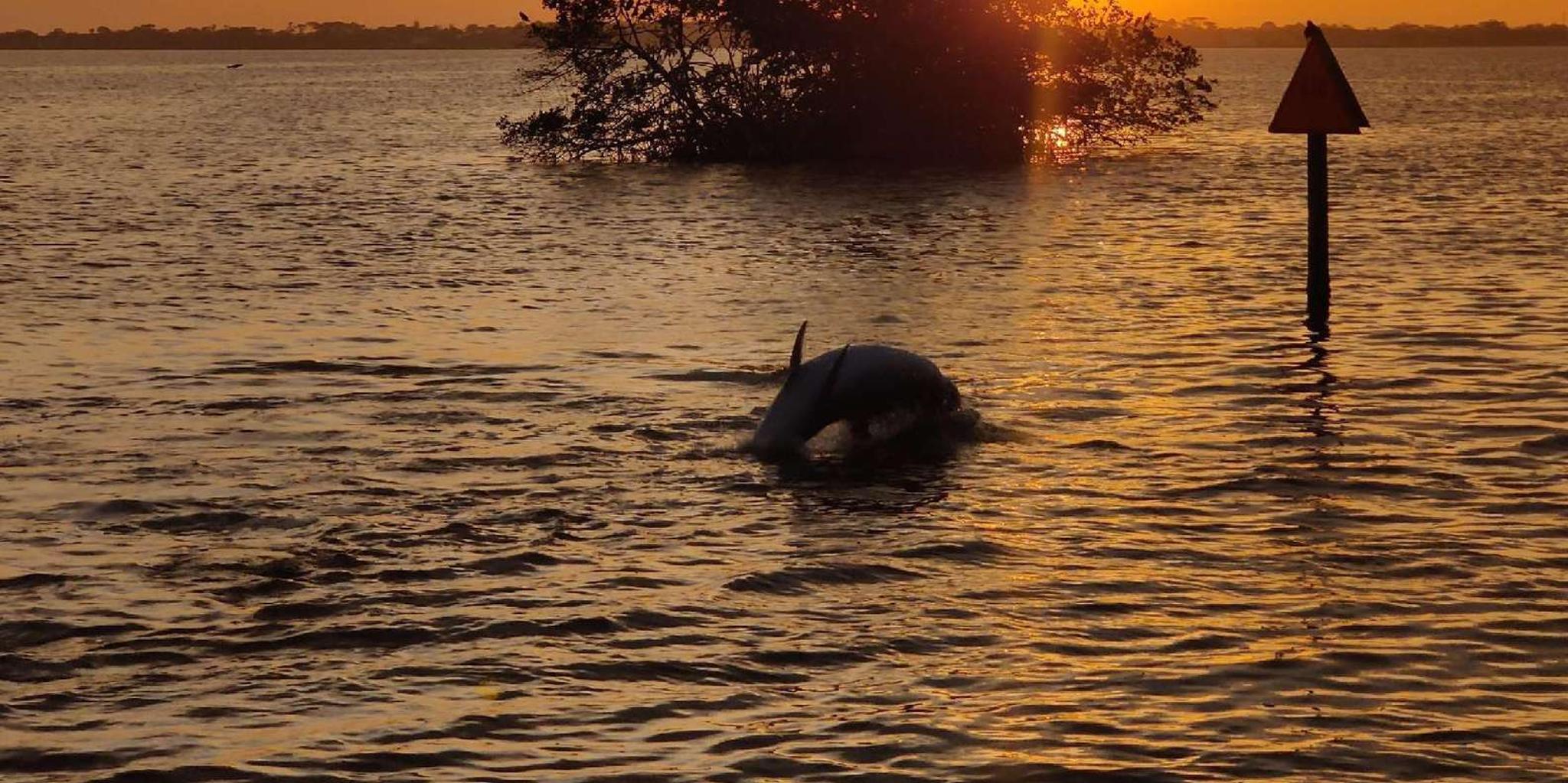 Cocoa Beach Sunset Cruise - Image 5