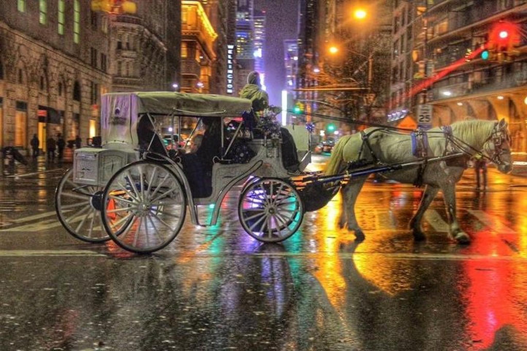 New York City Horse Carriage Tour Central Park - Image 6