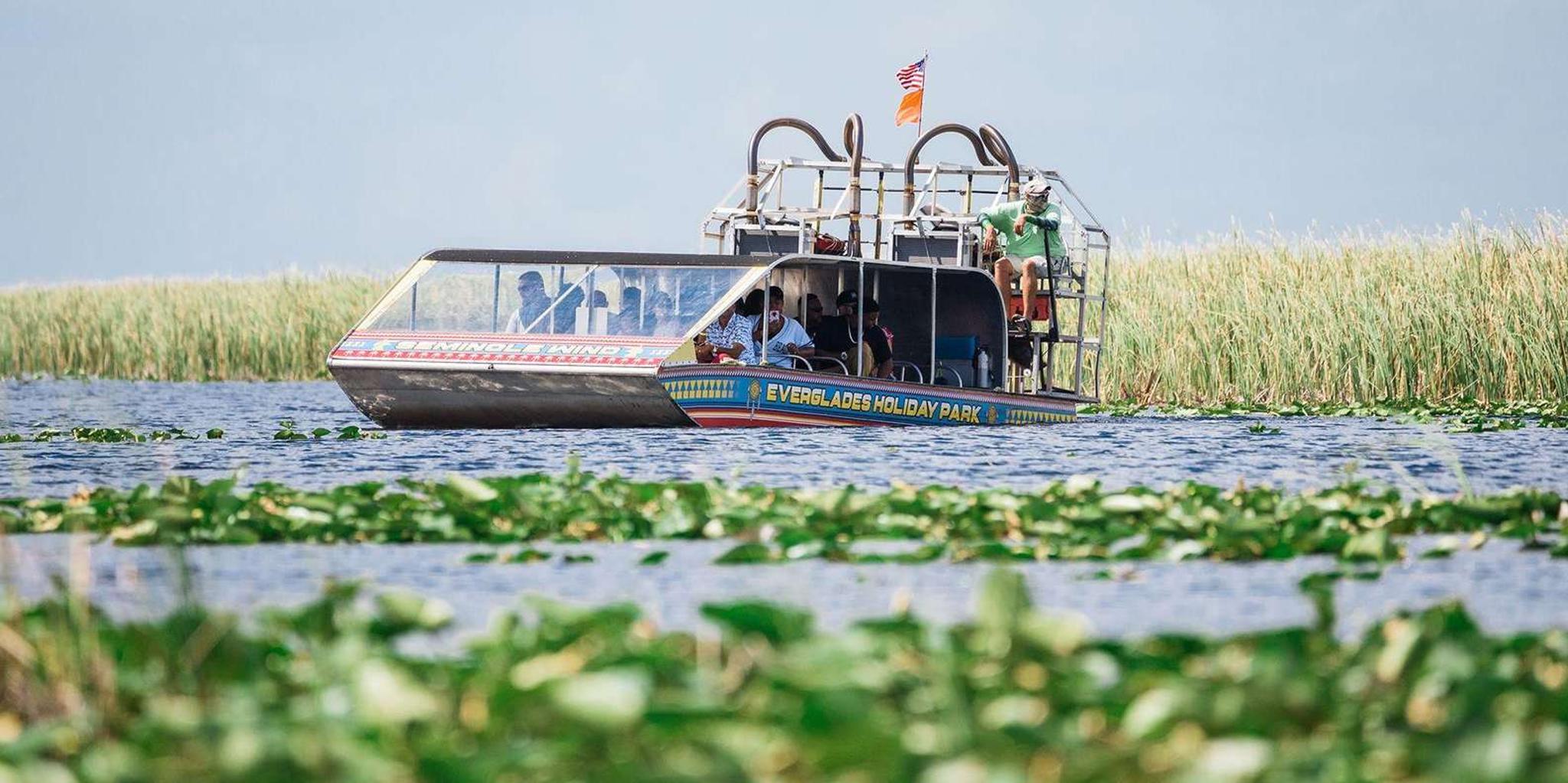 Miami Everglades Airboat Ride and Gator Encounter - Image 4