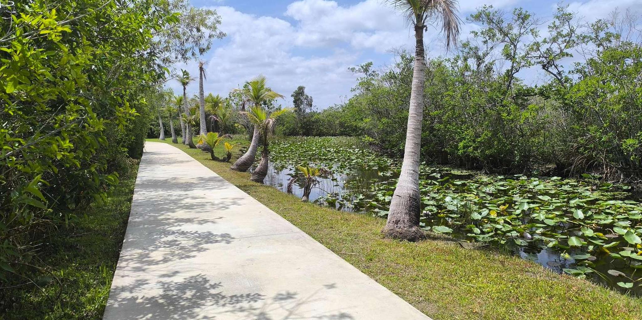 Miami Everglades Small-Group Tour in French 4 hr - Image 6