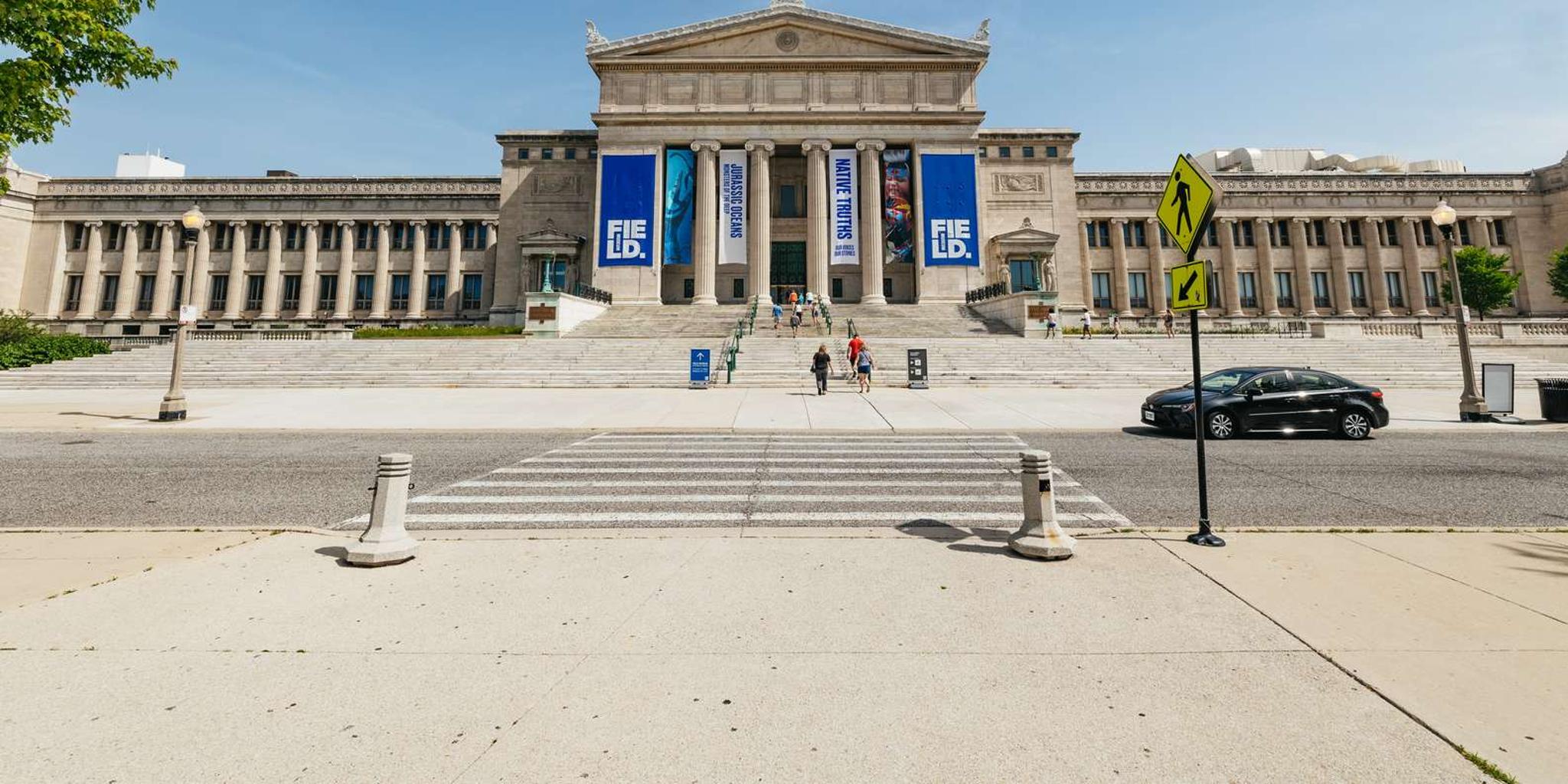 Chicago Field Museum of Natural History Tour - Image 2