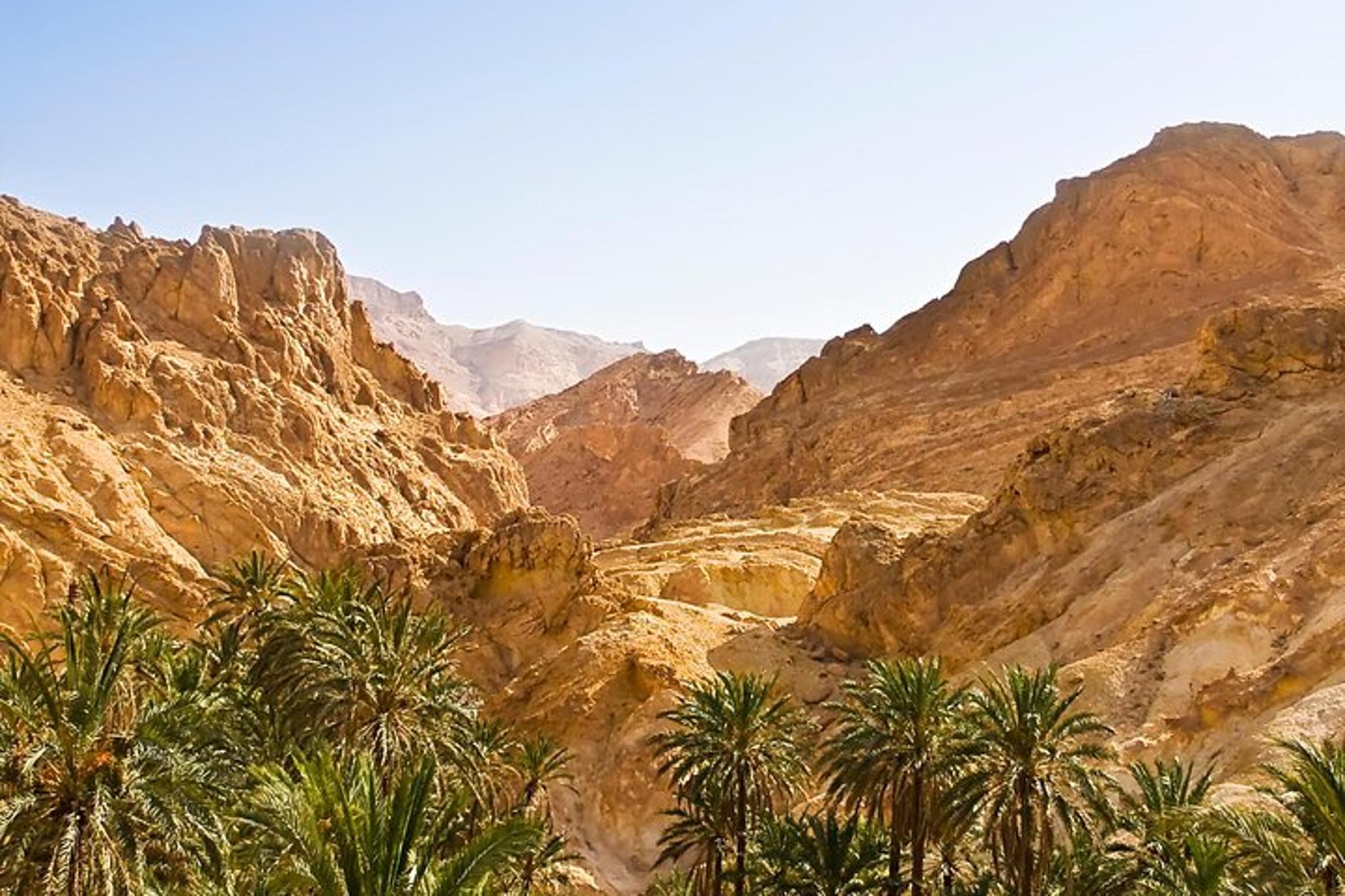 Palm Springs Indian Canyons Jeep Hiking Tour - Image 3