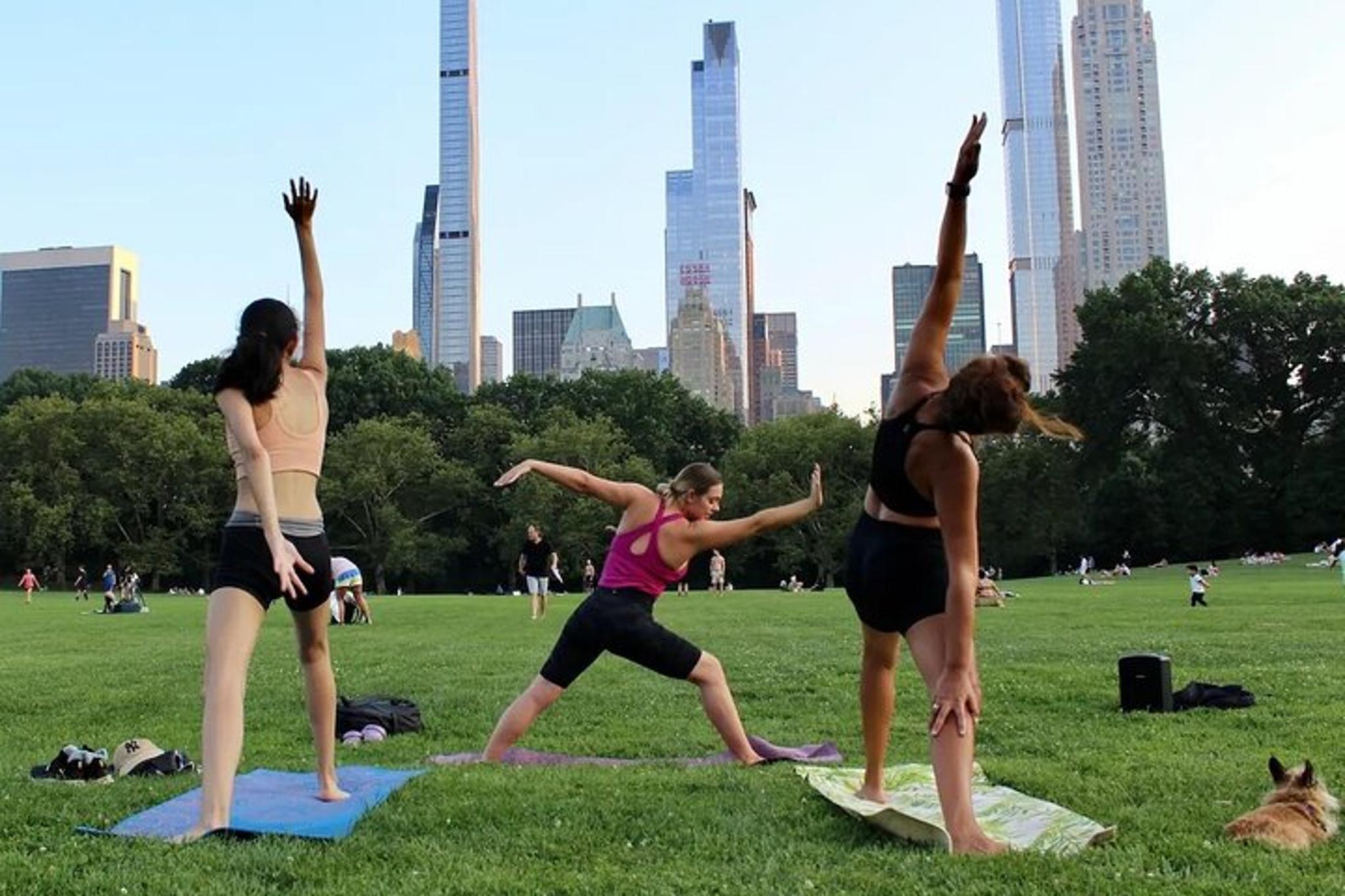 New York City Central Park Yoga Class - Image 5