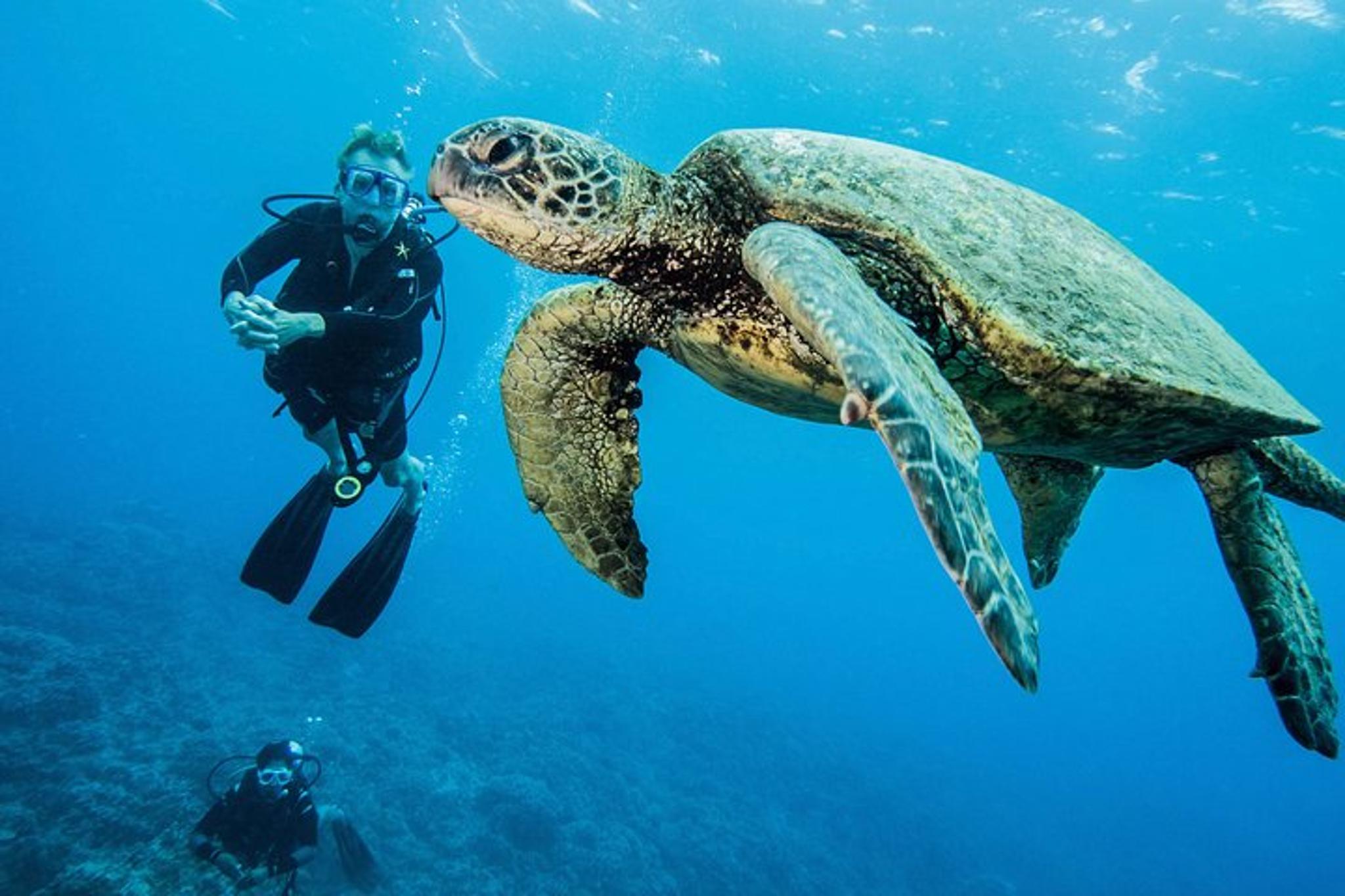 Lahaina Two Tank Lanai Diving Adventure - Image 4