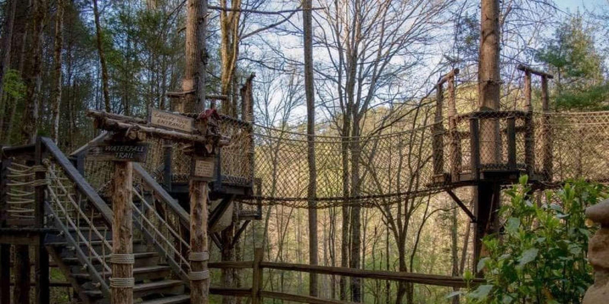 Sevierville Hiking & Swinging Bridge Adventure - Image 2