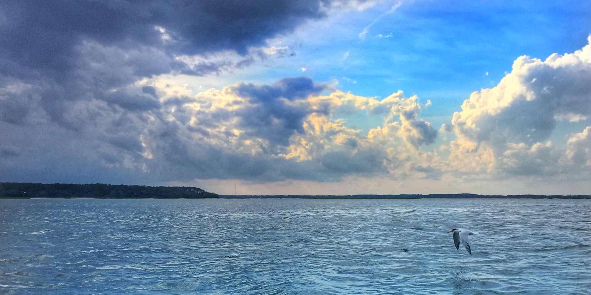 Hilton Head Dolphin Cruise at Sunset - Image 2