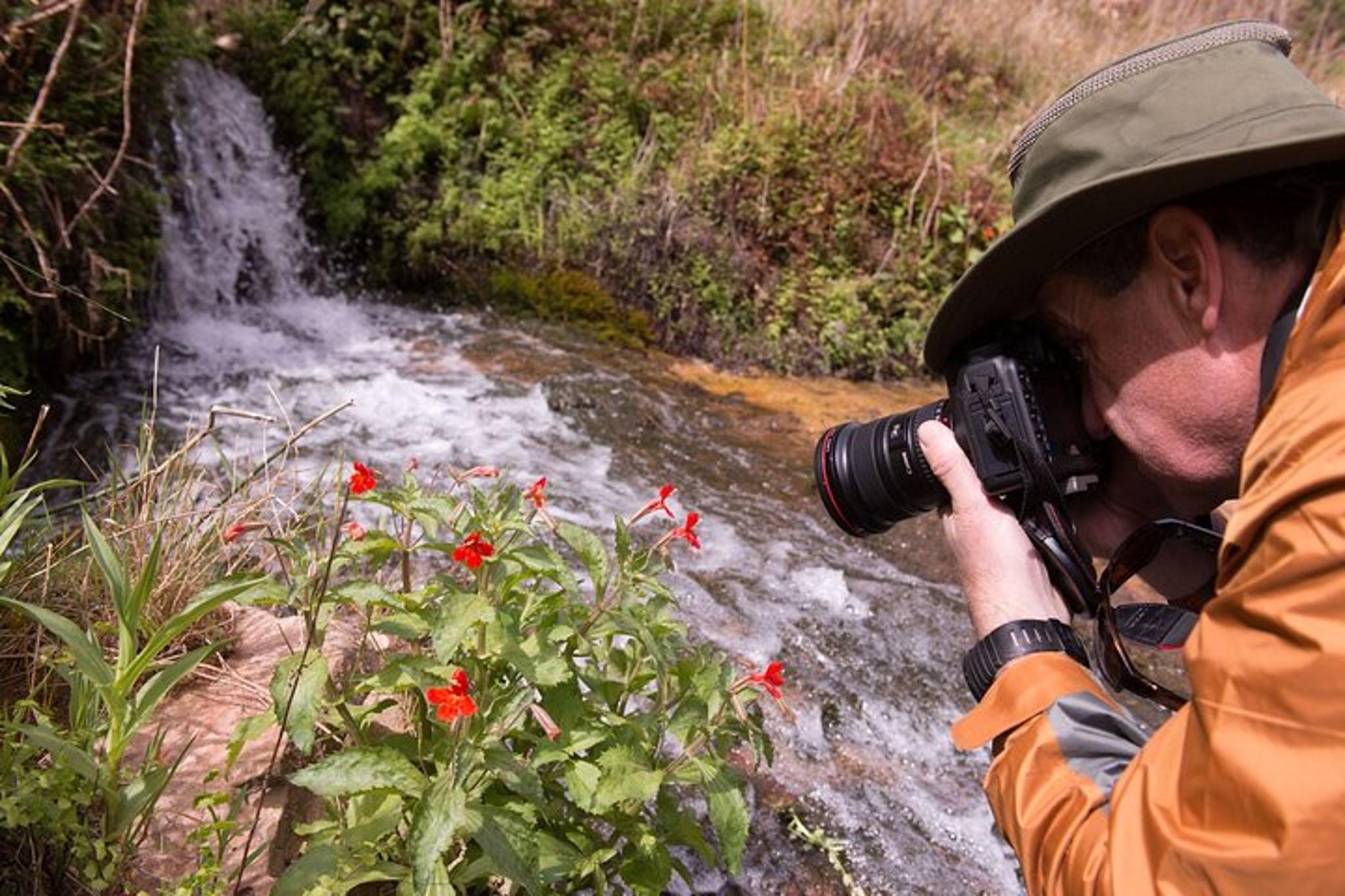 Wasatch Mountains Photo Workshop - Image 2