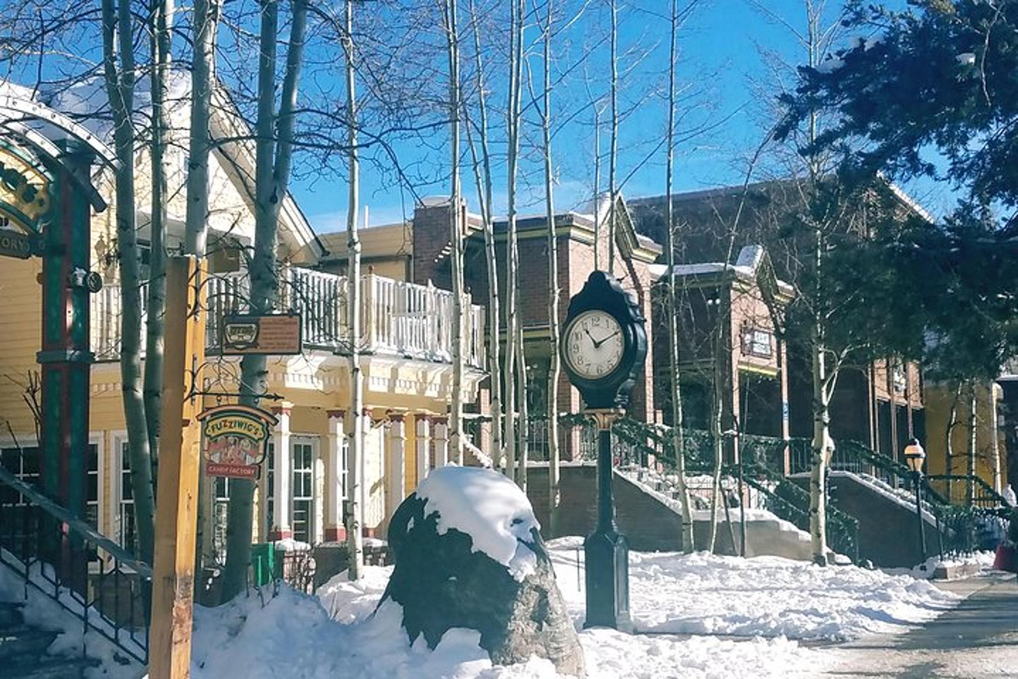 Denver Mountain Tour to Breckenridge - Image 5