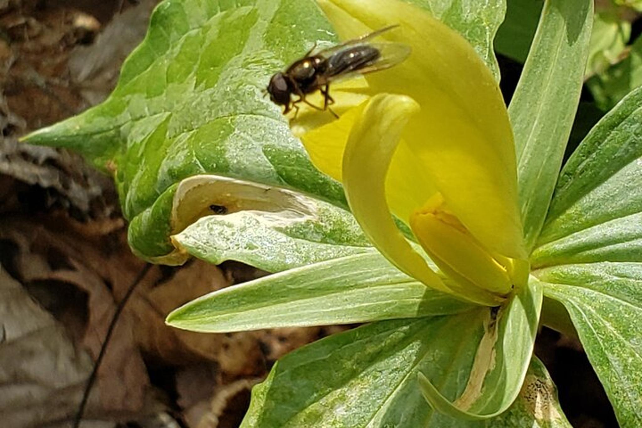 Great Smoky Mountains Historic River Tour - Image 4