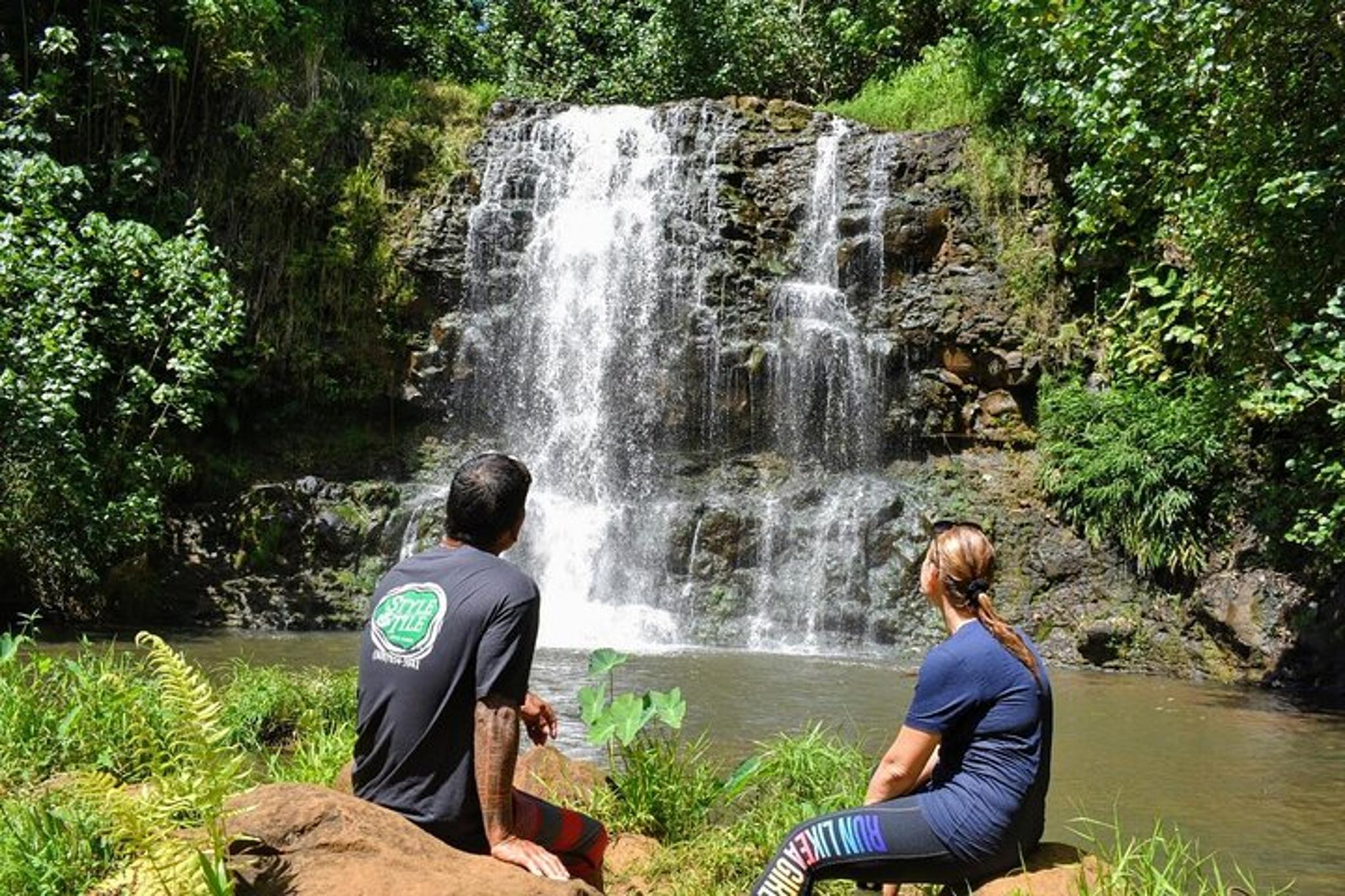 Lihue Waterfalls Hike and Swim - Image 2