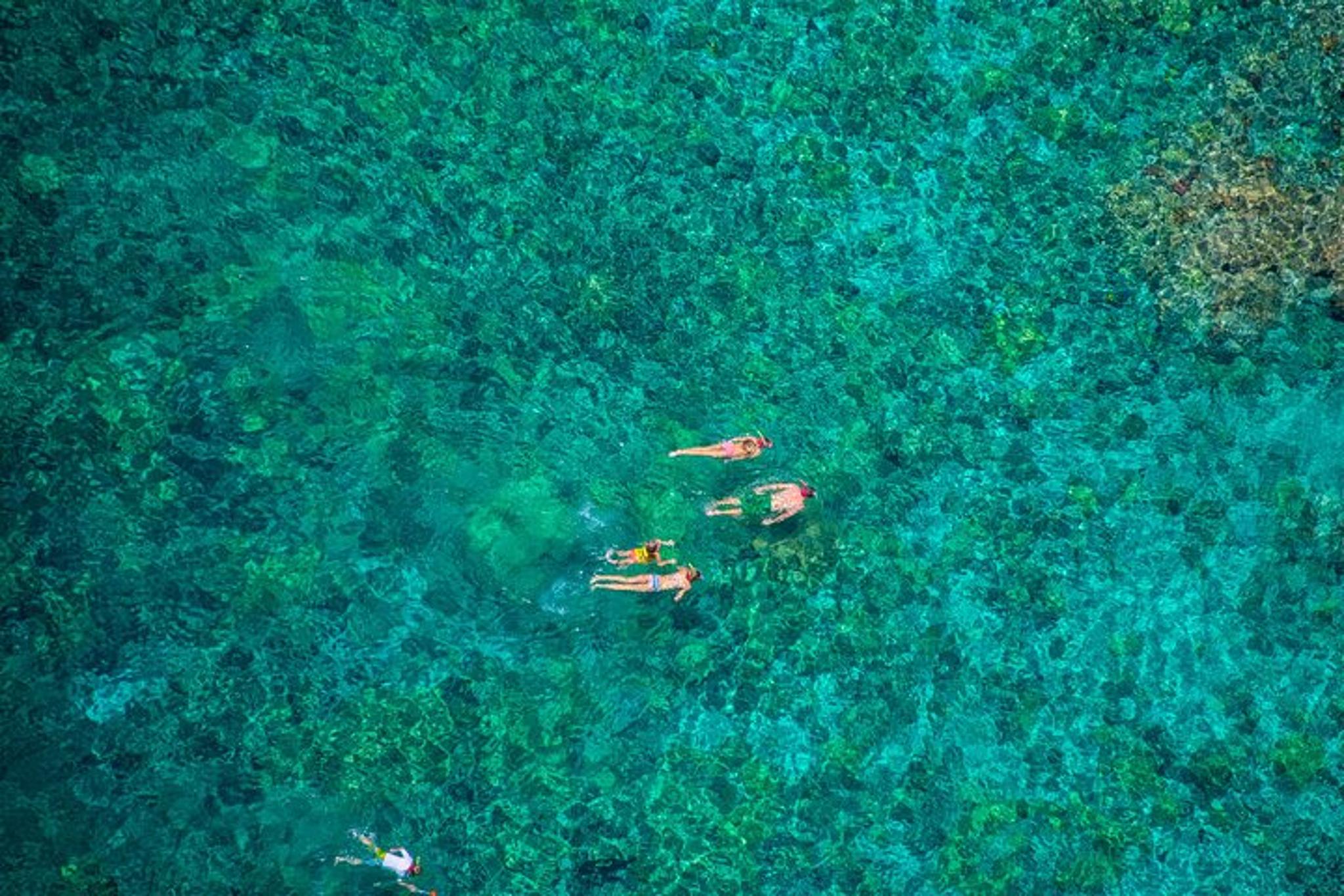 Kona Morning Snorkel Tour in Kealakekua Bay - Image 5