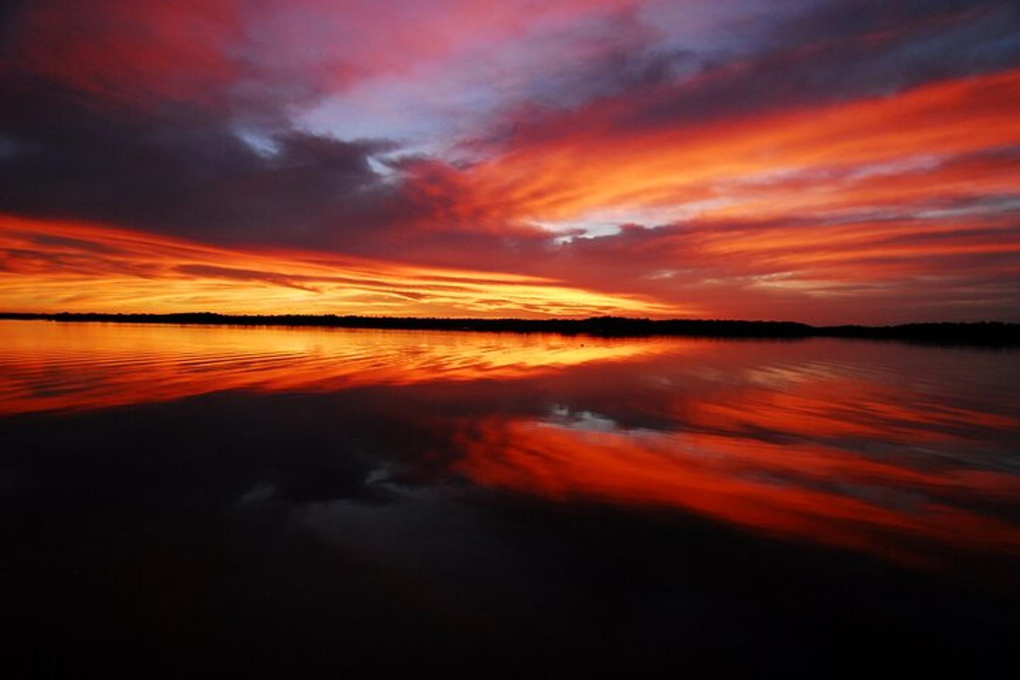 Everglades Photo and Birding Boat Safari - Image 3