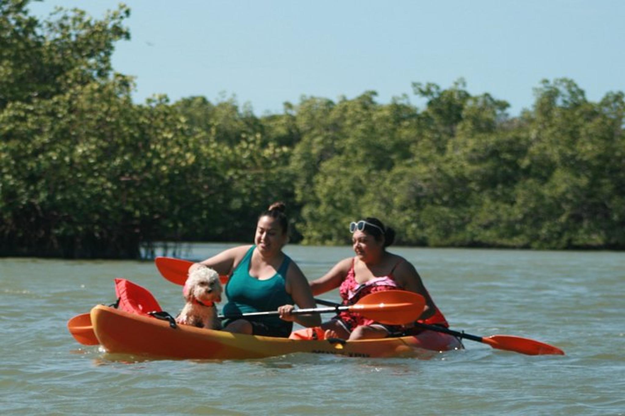 Naples Mangrove Kayak Tour - Image 4