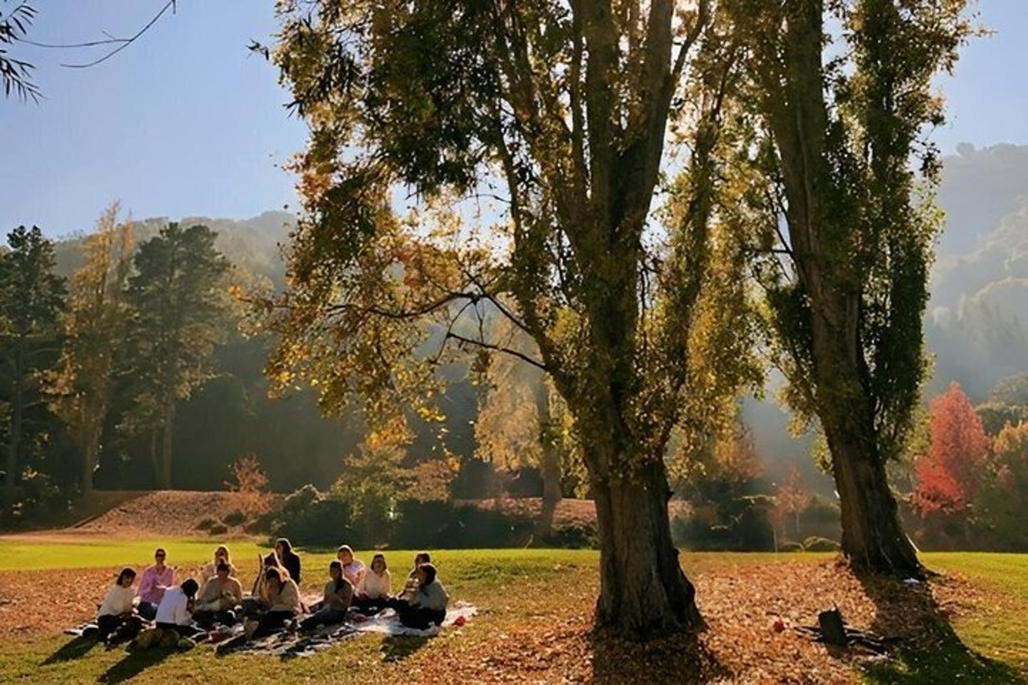 San Francisco Picnic Basket Rental - Image 5