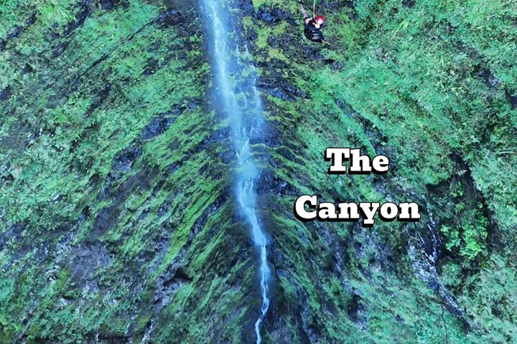 Oahu Canyon Rappel and Hike Expedition
