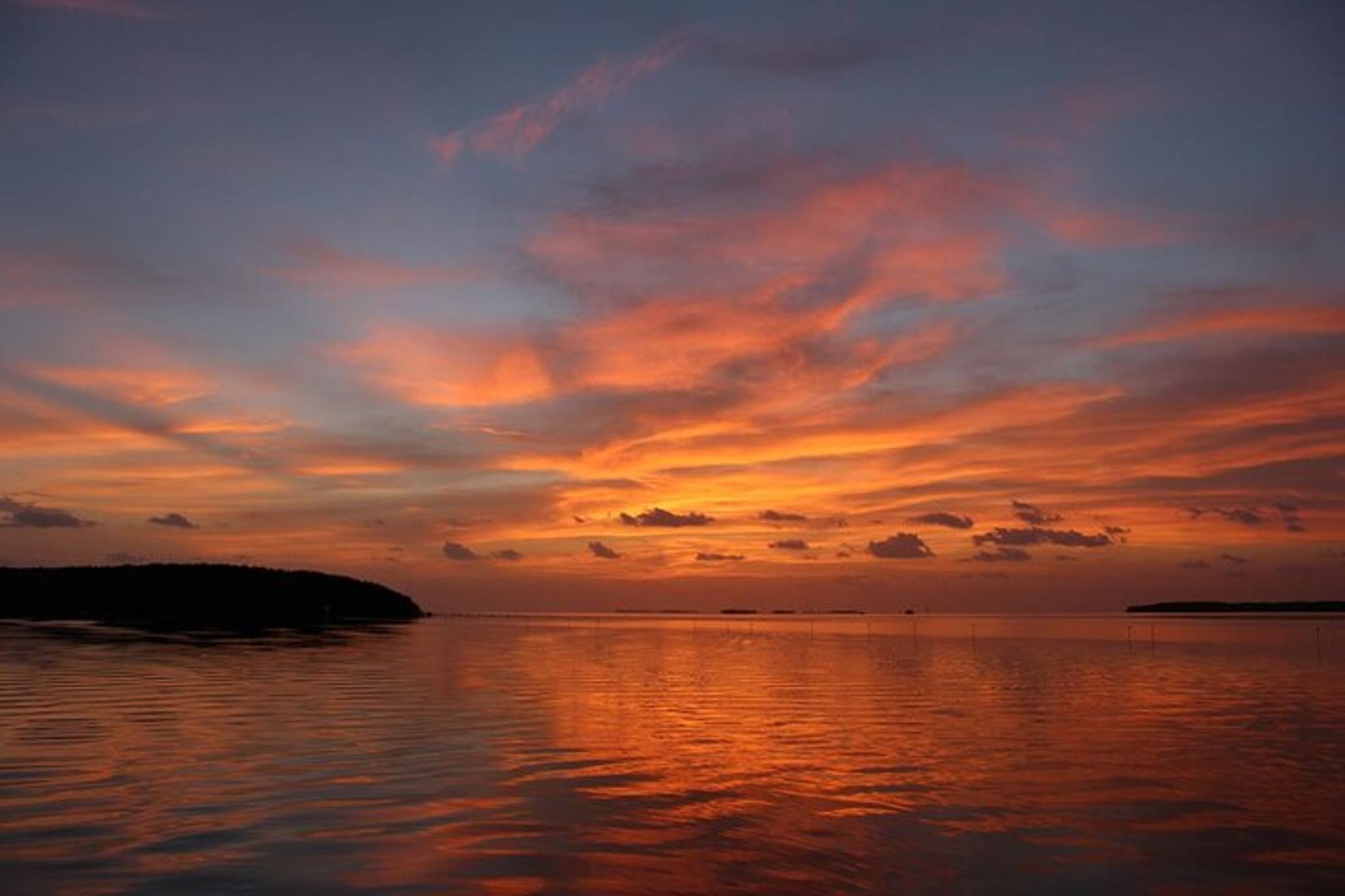 Islamorada Eco-Cruise at Sunset 2 hr - Image 3