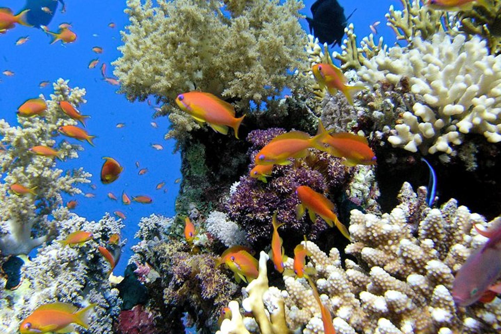 Maui Turtle Town Eco Adventure - Image 4